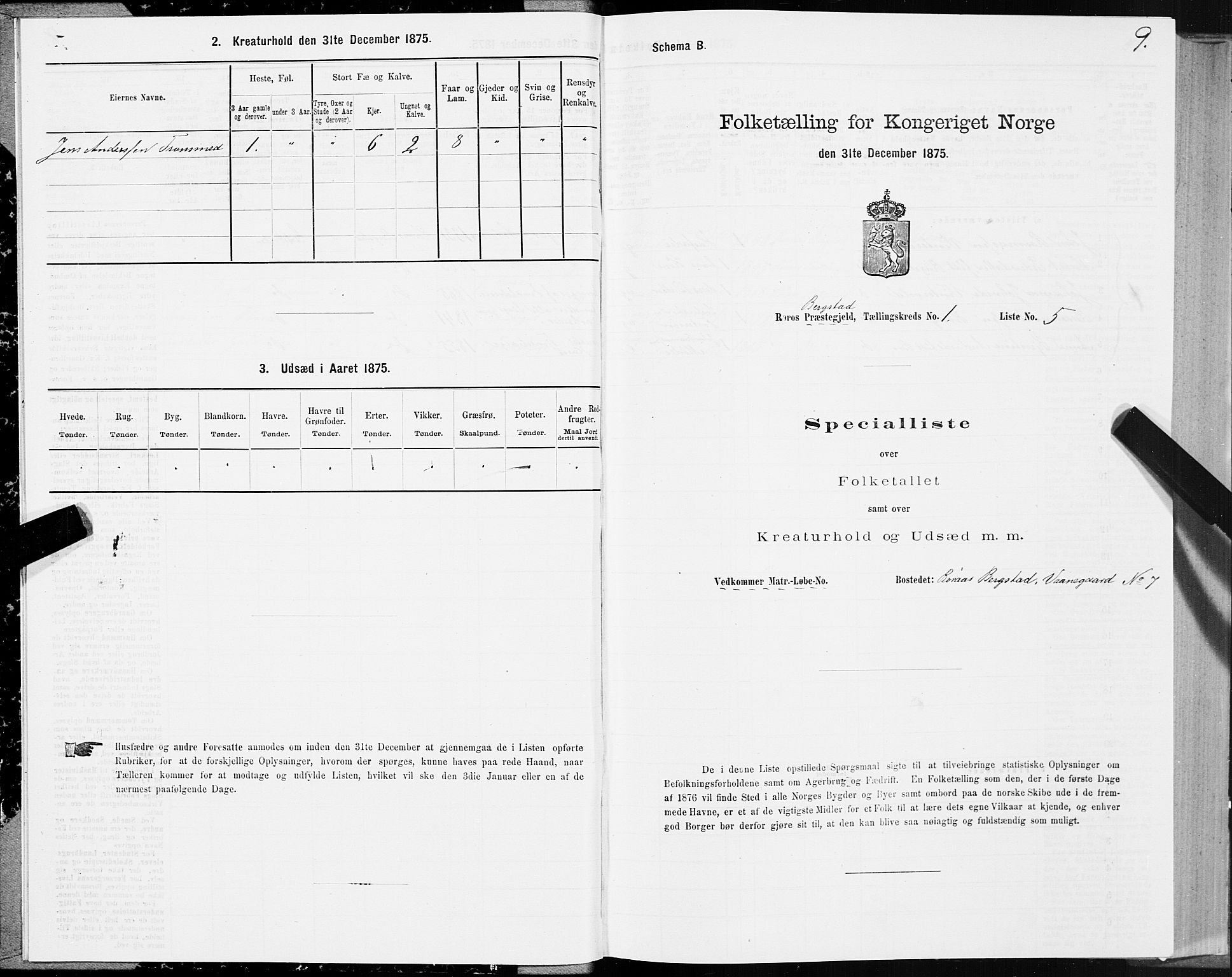 SAT, 1875 census for 1640P Røros, 1875, p. 1009