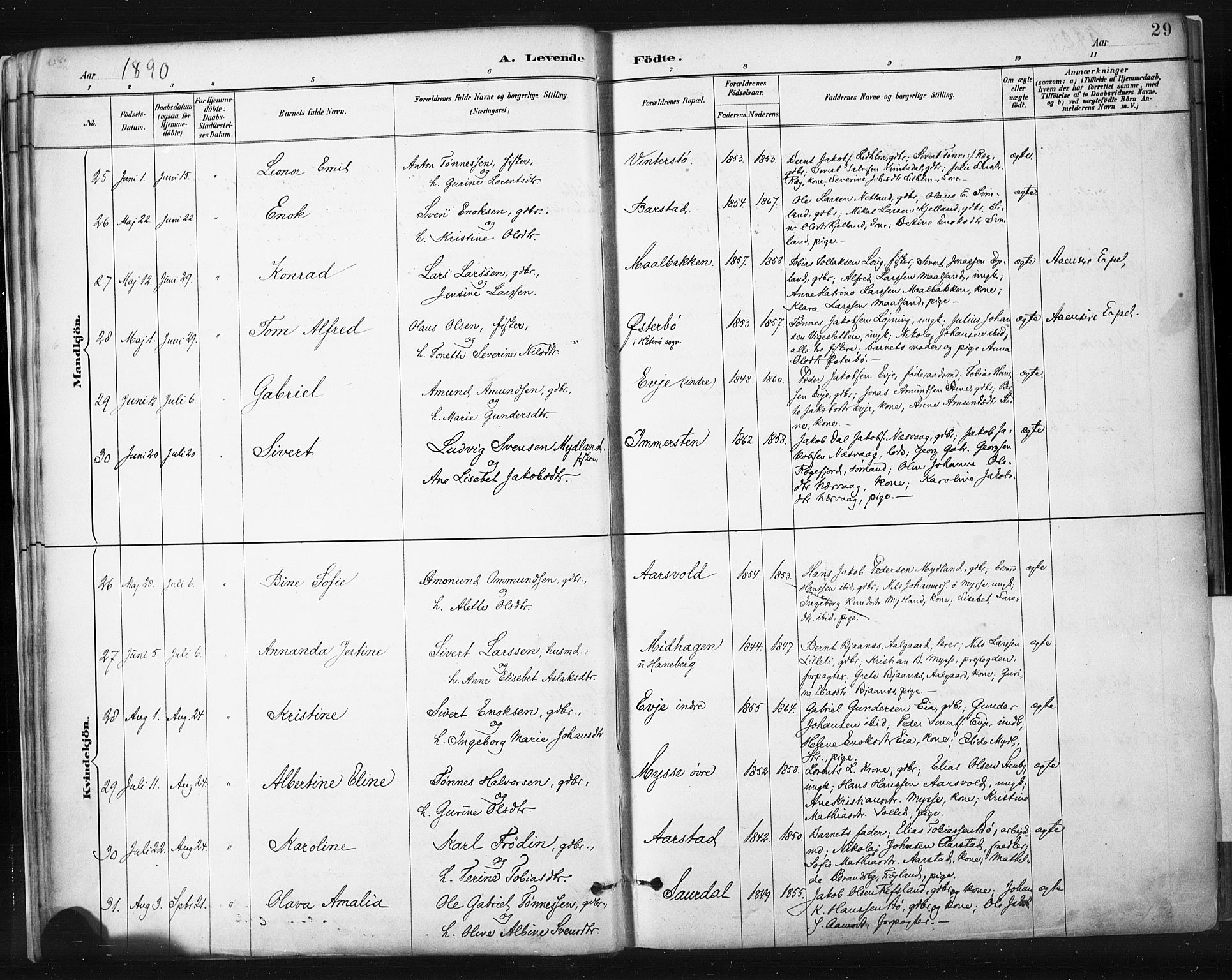 Sokndal sokneprestkontor, AV/SAST-A-101808: Parish register (official) no. A 11.1, 1887-1905, p. 29