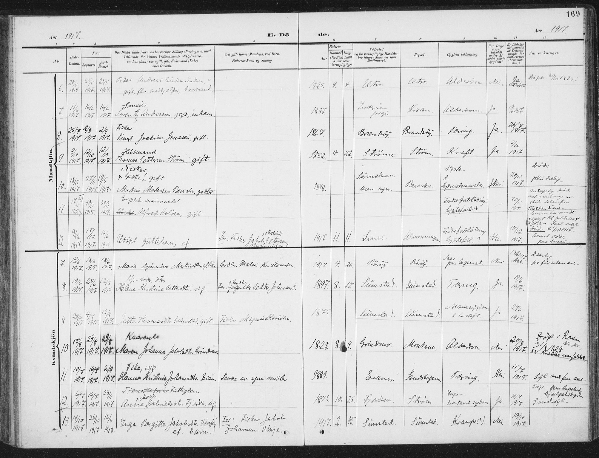 Ministerialprotokoller, klokkerbøker og fødselsregistre - Sør-Trøndelag, SAT/A-1456/657/L0709: Parish register (official) no. 657A10, 1905-1919, p. 169