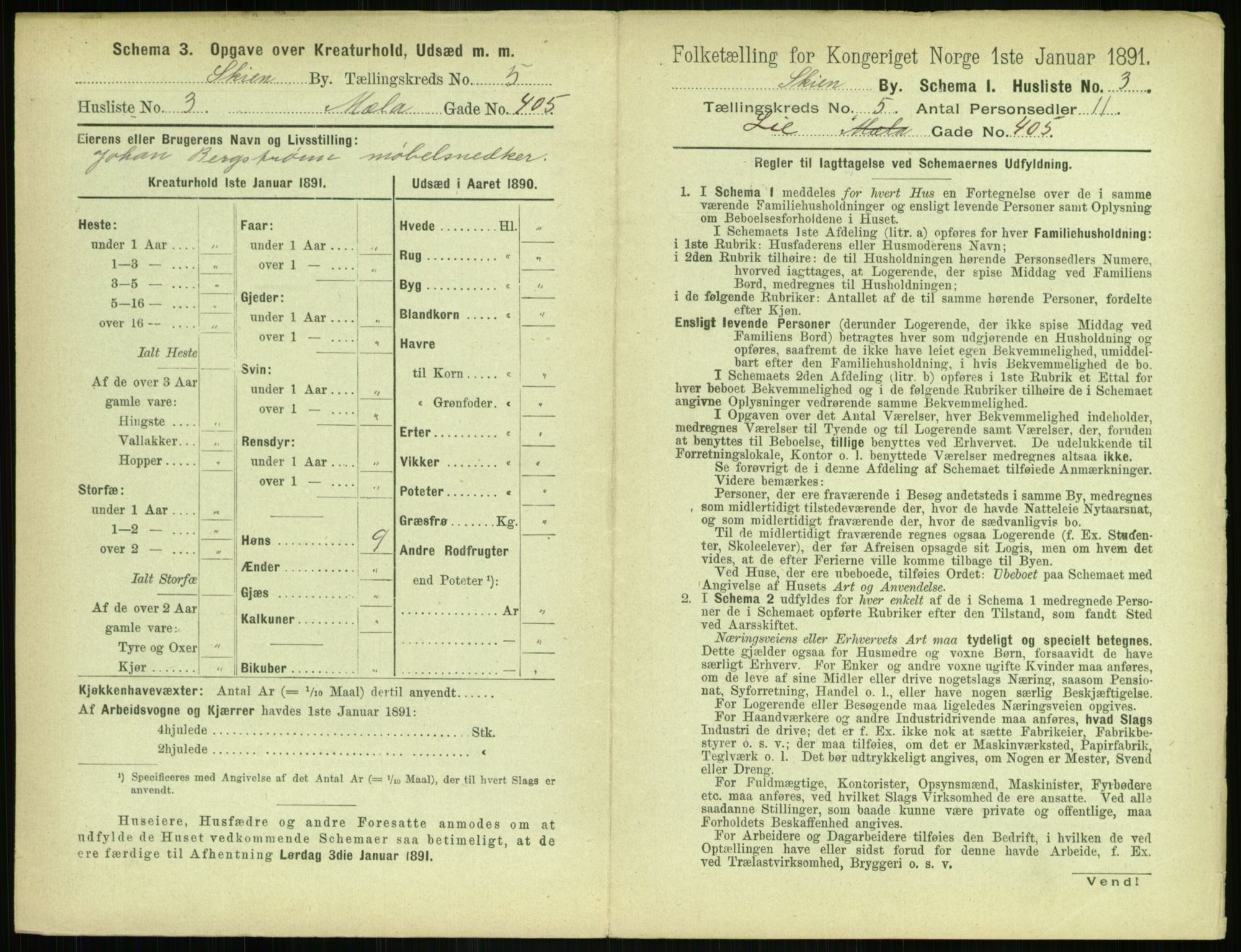 RA, 1891 census for 0806 Skien, 1891, p. 264