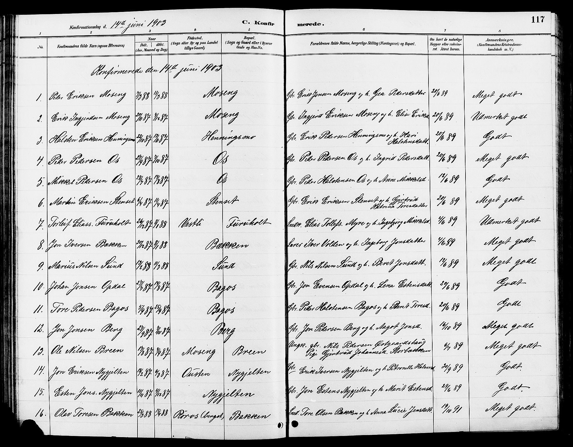 Tolga prestekontor, AV/SAH-PREST-062/L/L0008: Parish register (copy) no. 8, 1887-1912, p. 117