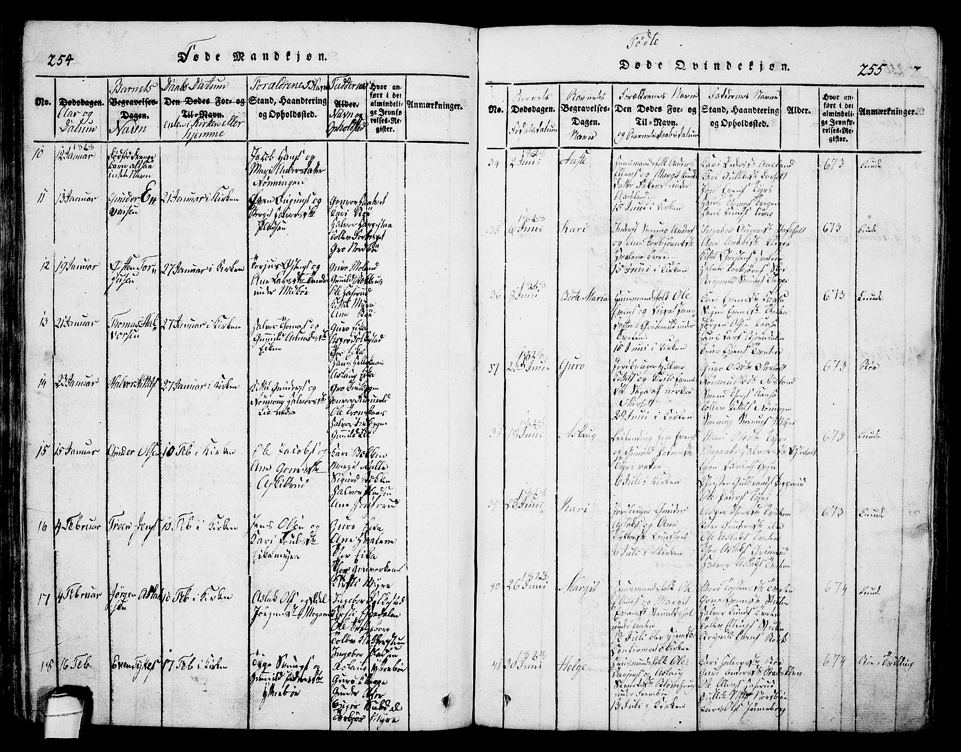 Bø kirkebøker, AV/SAKO-A-257/G/Ga/L0001: Parish register (copy) no. 1, 1815-1831, p. 254-255