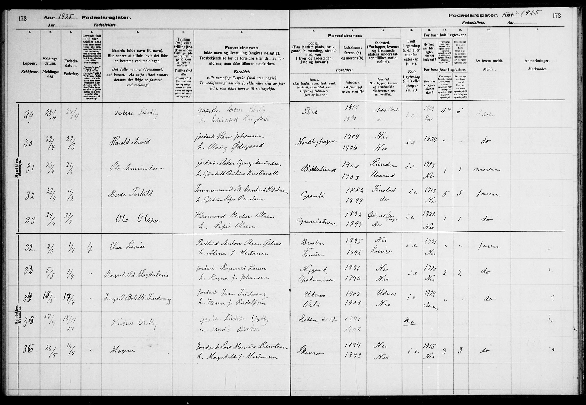 Nes prestekontor Kirkebøker, AV/SAO-A-10410/J/Ja/L0001: Birth register no. 1, 1916-1926, p. 172