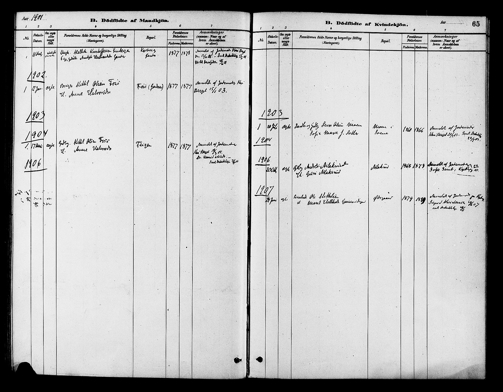 Flesberg kirkebøker, AV/SAKO-A-18/F/Fb/L0001: Parish register (official) no. II 1, 1879-1907, p. 65