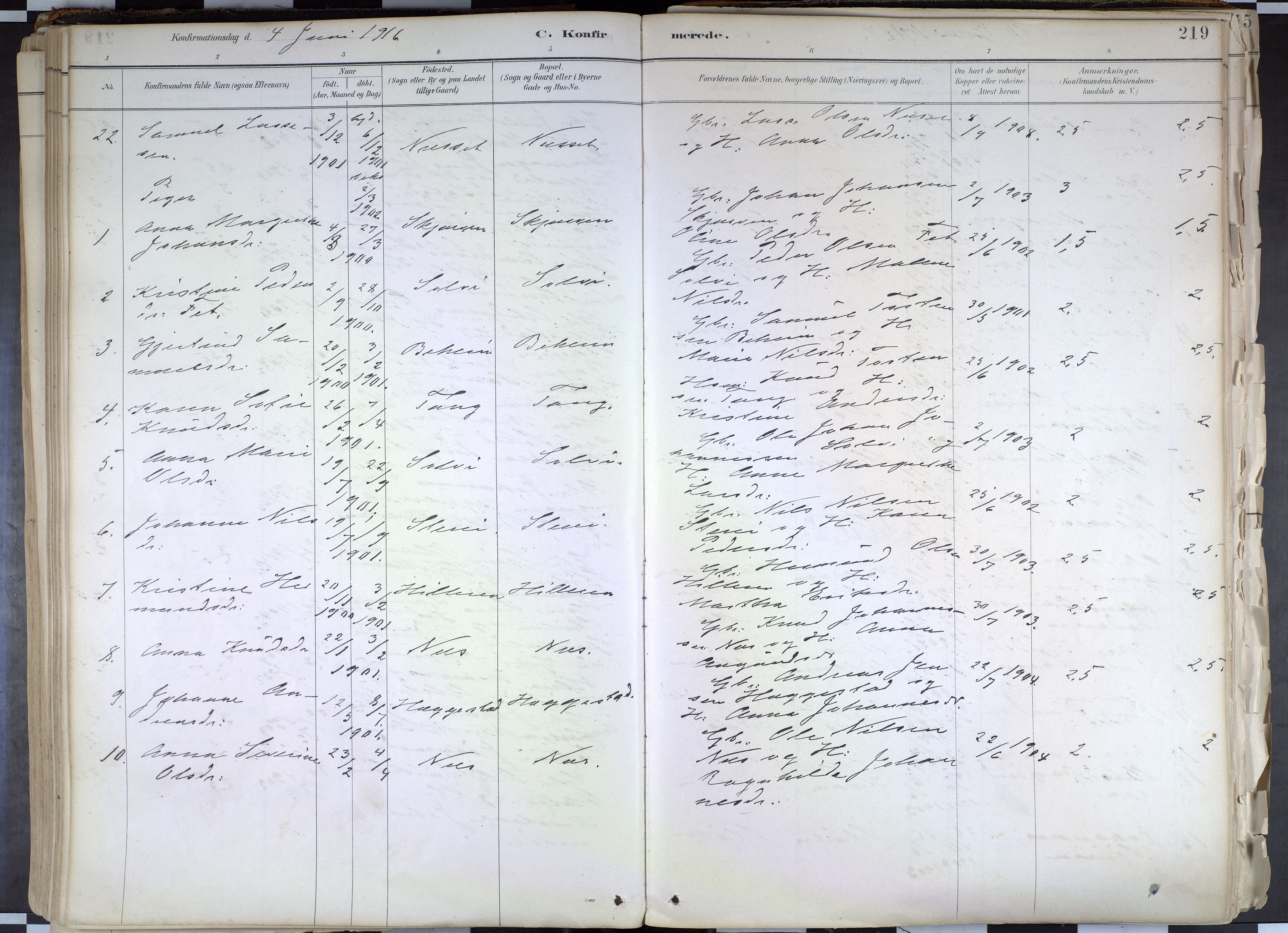 Hafslo sokneprestembete, AV/SAB-A-80301/H/Haa/Haab/L0001: Parish register (official) no. B 1, 1886-1945, p. 219