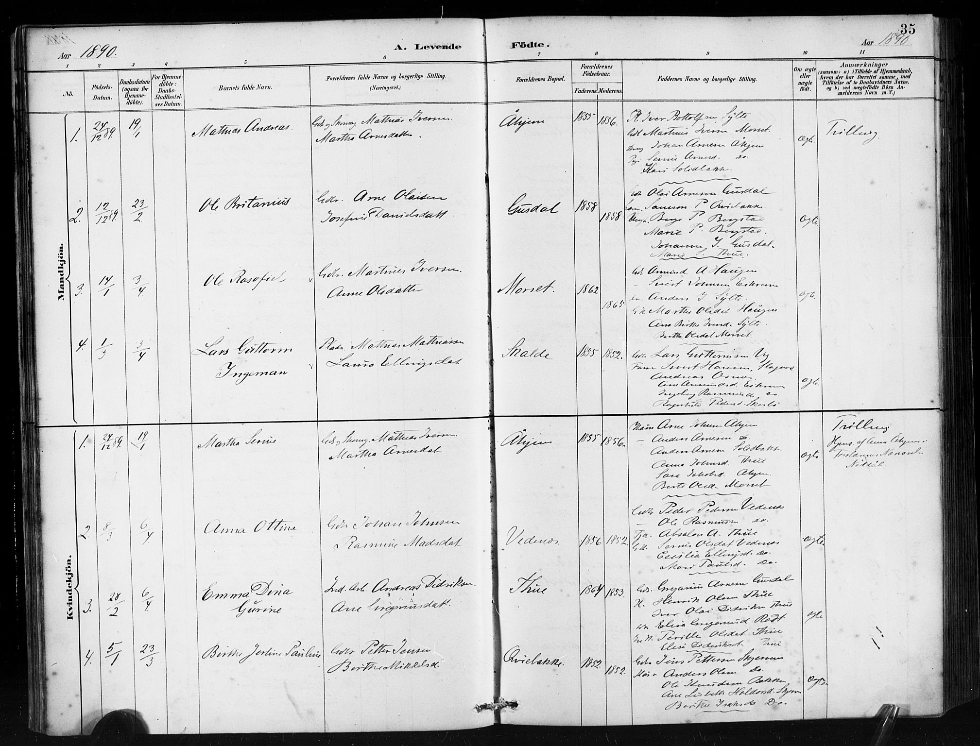 Ministerialprotokoller, klokkerbøker og fødselsregistre - Møre og Romsdal, AV/SAT-A-1454/501/L0008: Parish register (official) no. 501A08, 1885-1901, p. 35