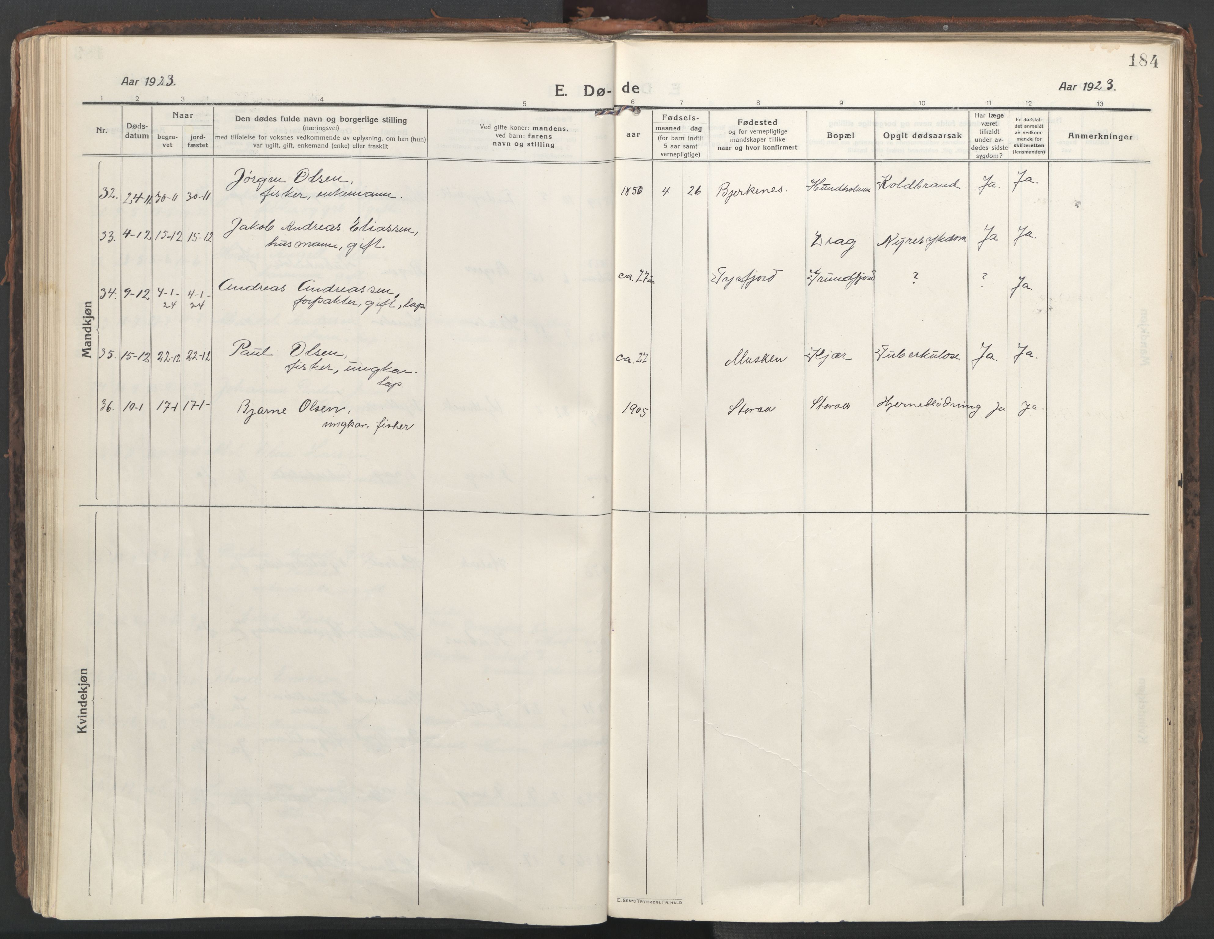 Ministerialprotokoller, klokkerbøker og fødselsregistre - Nordland, SAT/A-1459/861/L0872: Parish register (official) no. 861A07, 1915-1924, p. 184