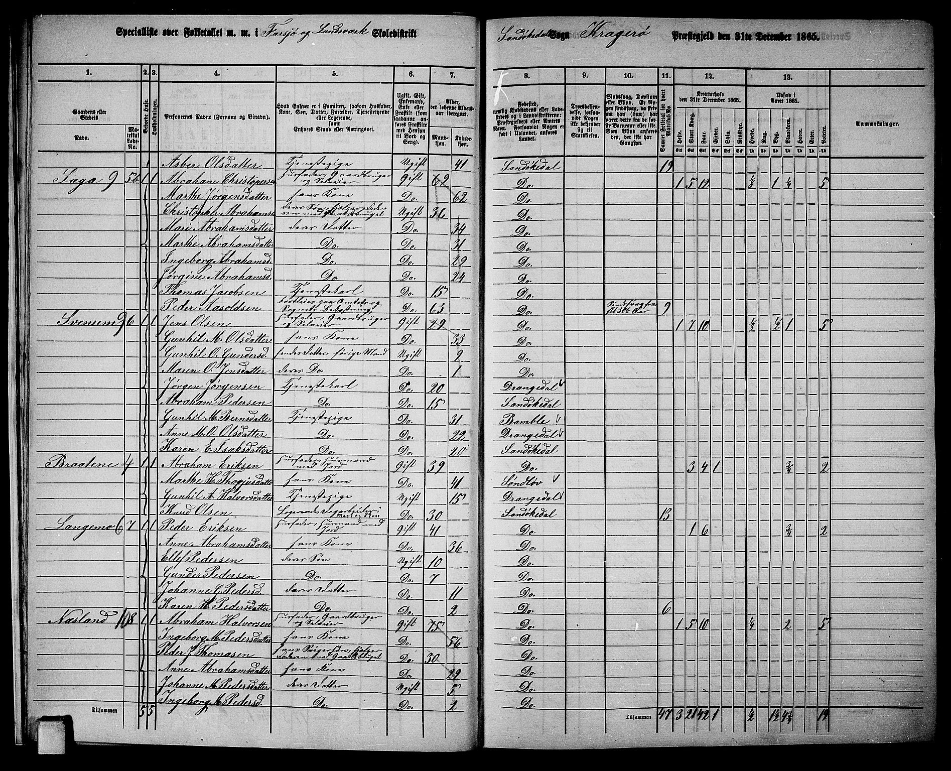 RA, 1865 census for Kragerø/Sannidal og Skåtøy, 1865, p. 16