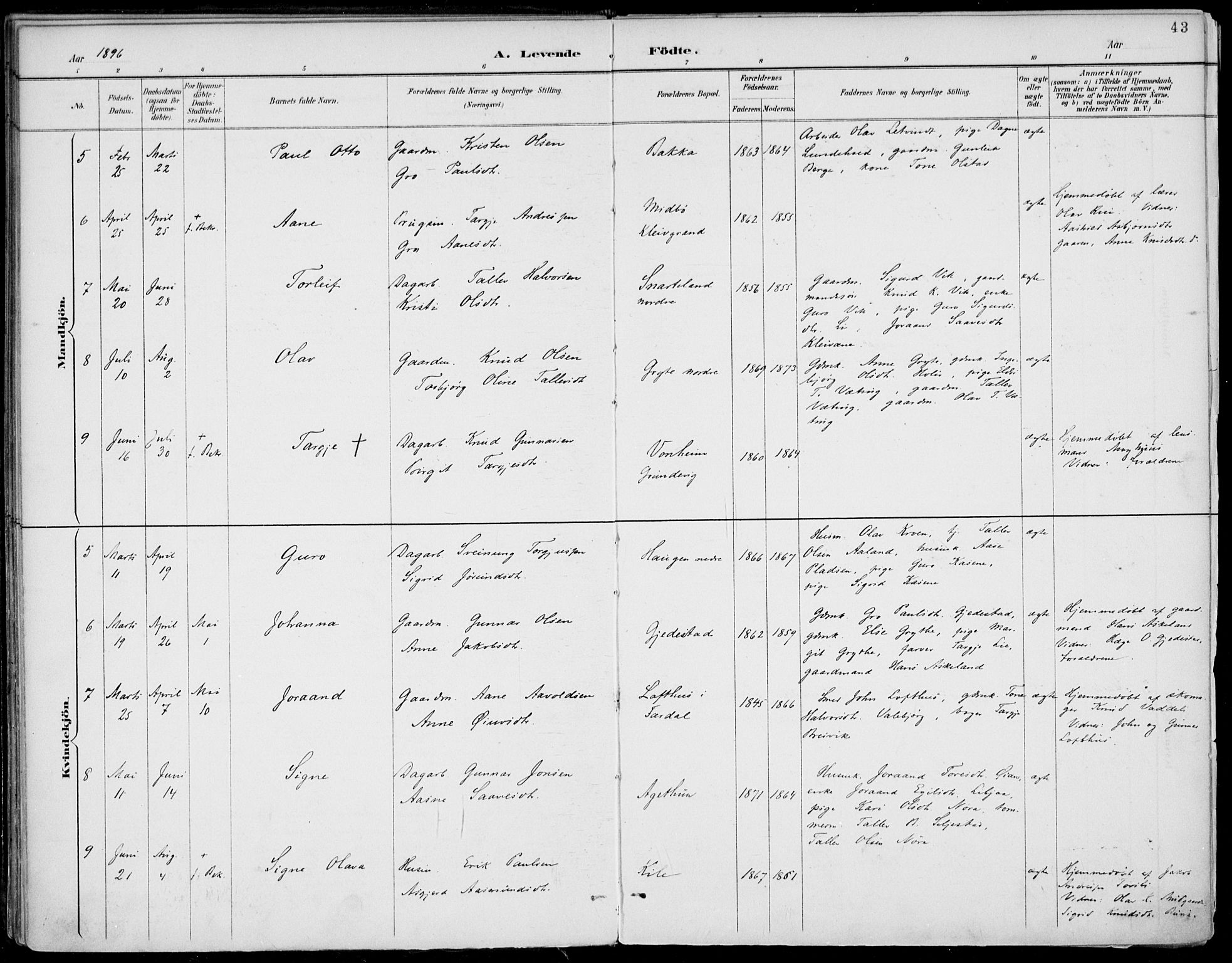 Fyresdal kirkebøker, SAKO/A-263/F/Fa/L0007: Parish register (official) no. I 7, 1887-1914, p. 43