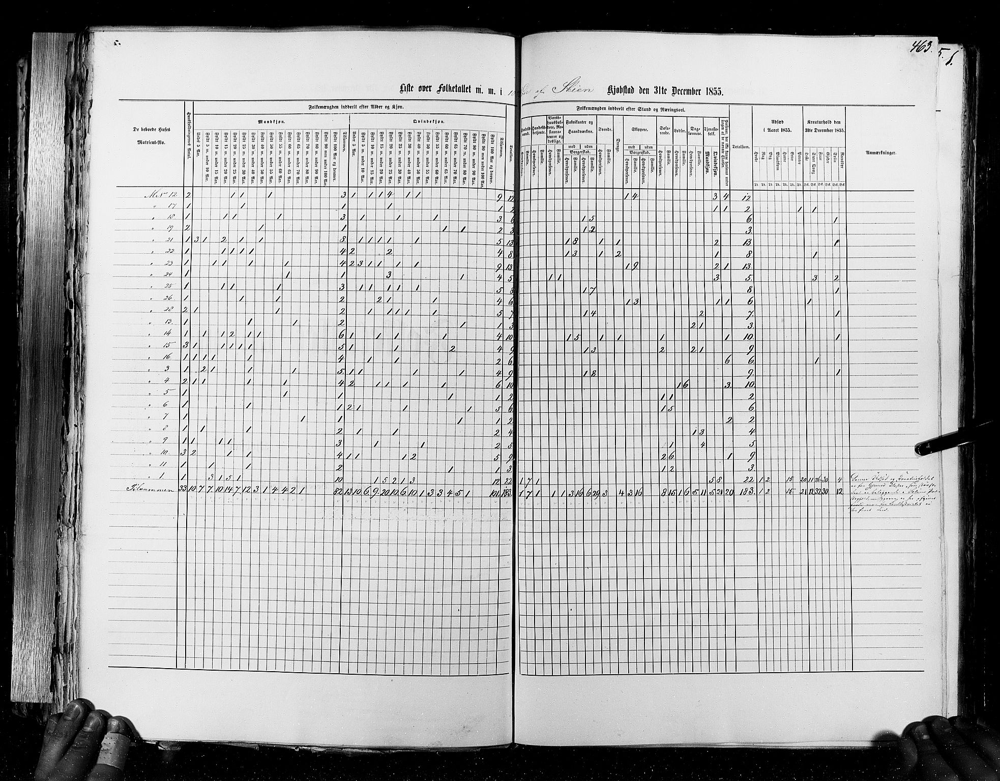 RA, Census 1855, vol. 7: Fredrikshald-Kragerø, 1855, p. 463