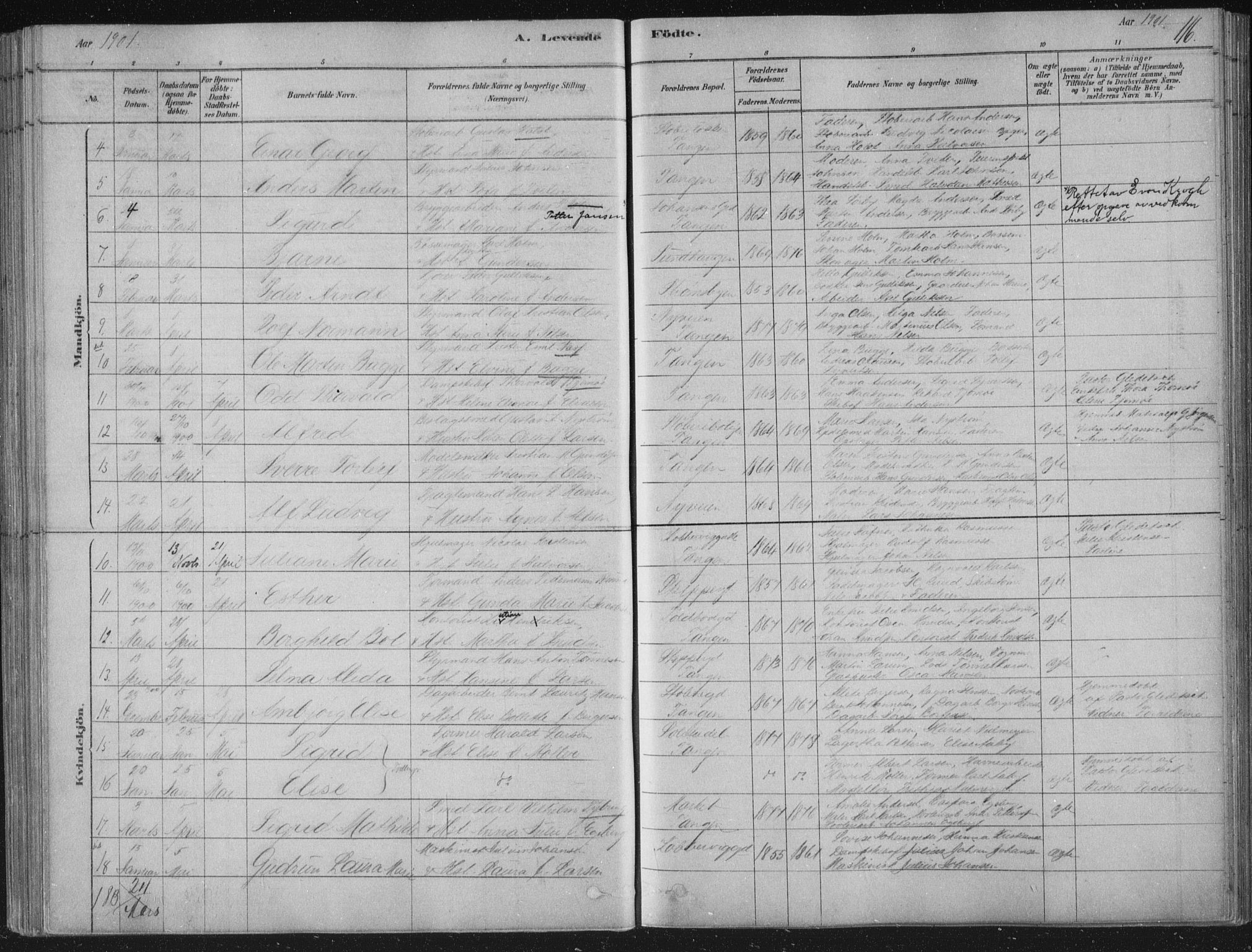 Strømsø kirkebøker, AV/SAKO-A-246/F/Fb/L0005: Parish register (official) no. II 5, 1877-1902, p. 116