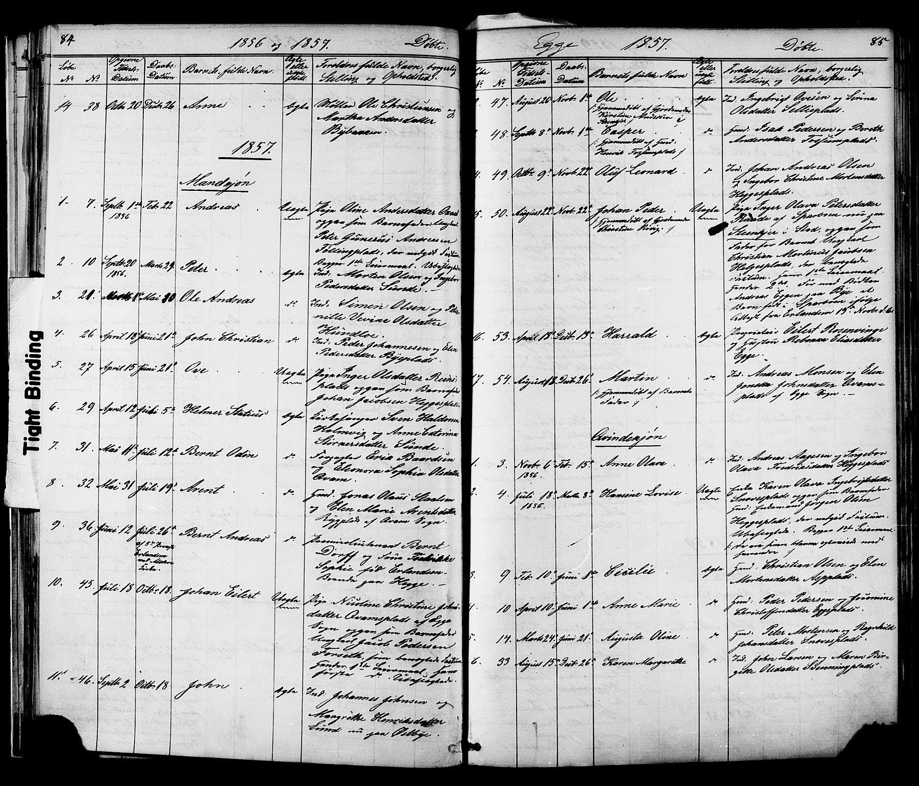 Ministerialprotokoller, klokkerbøker og fødselsregistre - Nord-Trøndelag, AV/SAT-A-1458/739/L0367: Parish register (official) no. 739A01 /3, 1838-1868, p. 84-85