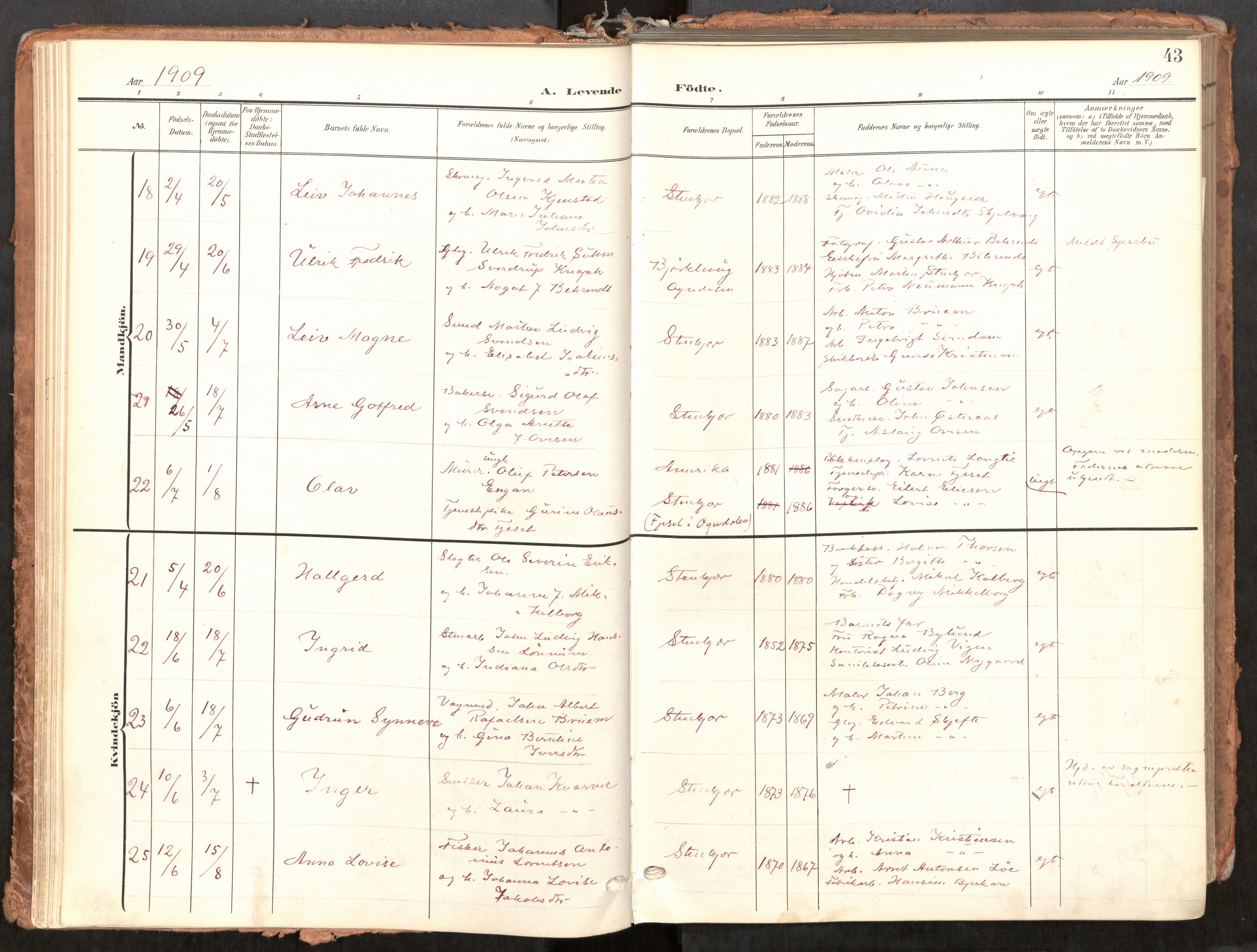 Steinkjer sokneprestkontor, AV/SAT-A-1541/01/H/Ha/Haa/L0001: Parish register (official) no. 1, 1904-1912, p. 43