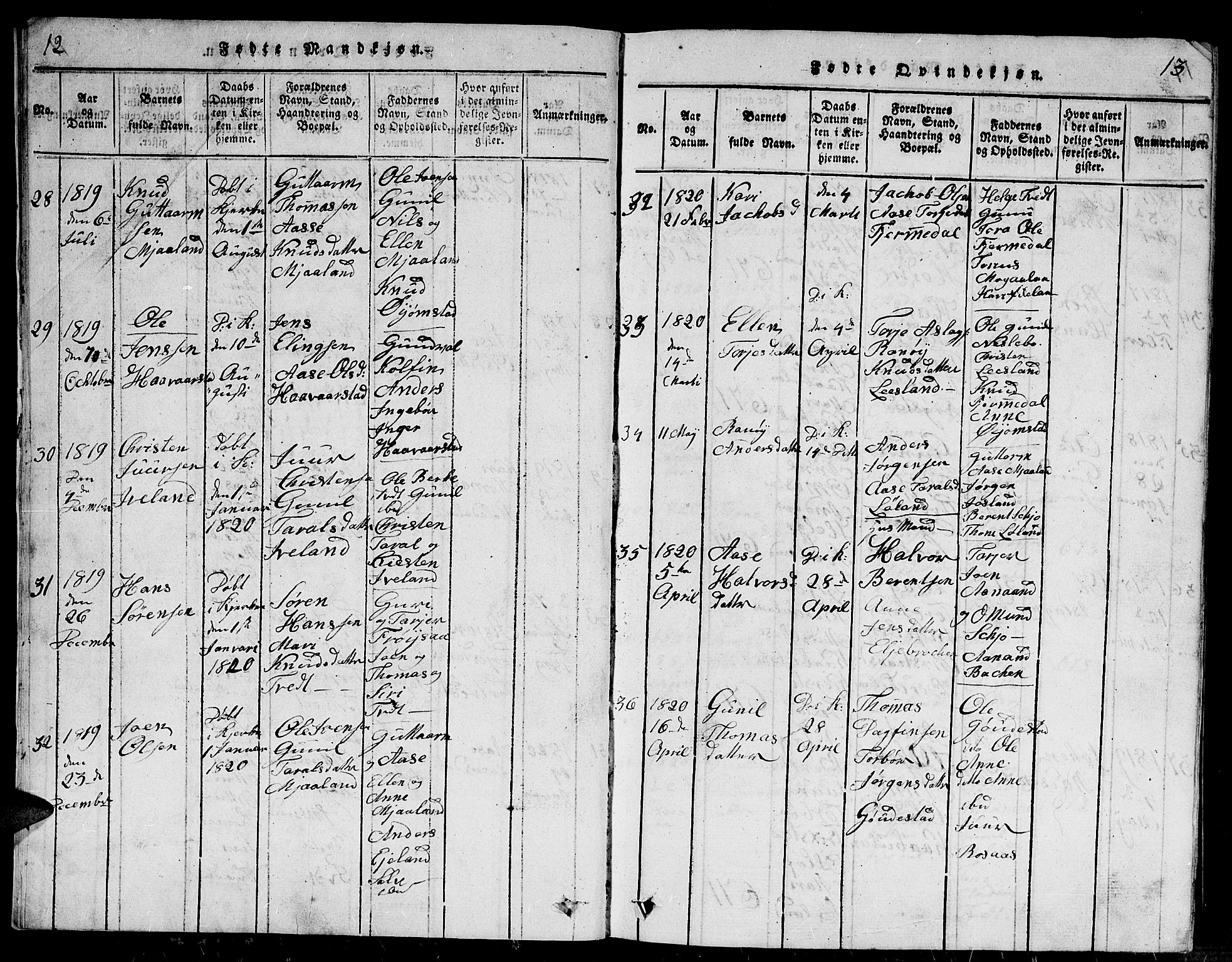 Evje sokneprestkontor, SAK/1111-0008/F/Fb/Fbc/L0001: Parish register (copy) no. B 1, 1816-1836, p. 12-13