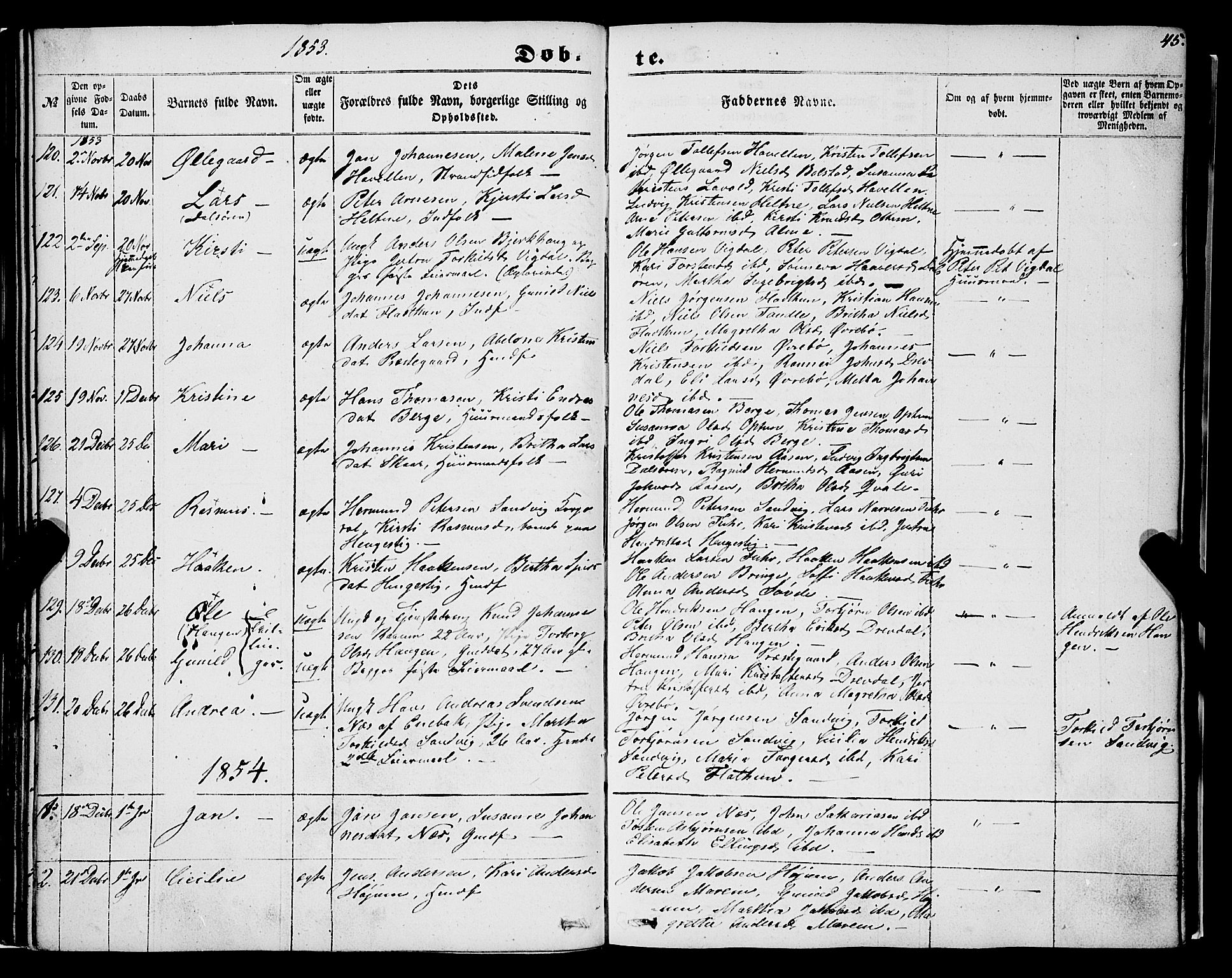 Luster sokneprestembete, AV/SAB-A-81101/H/Haa/Haaa/L0007: Parish register (official) no. A 7, 1849-1859, p. 45