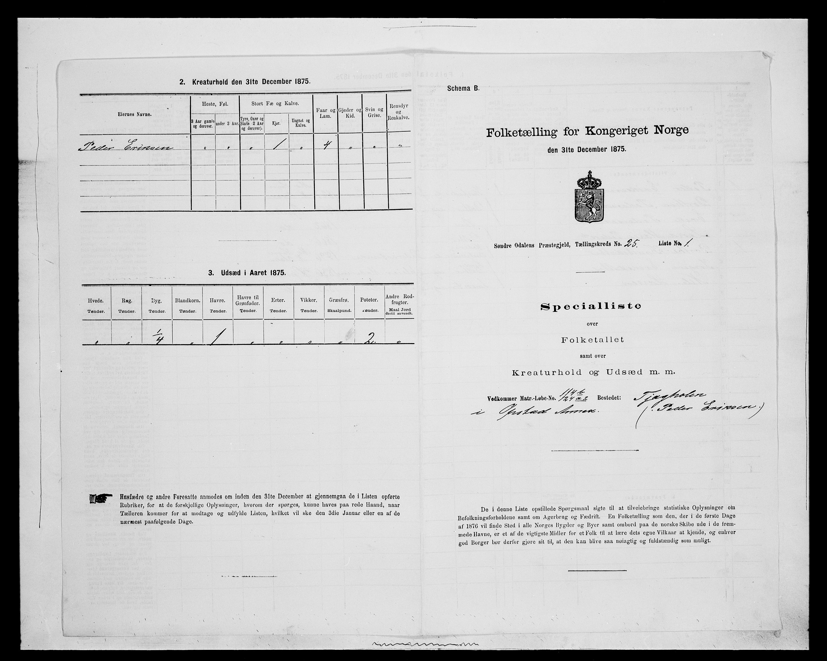 SAH, 1875 census for 0419P Sør-Odal, 1875, p. 2097