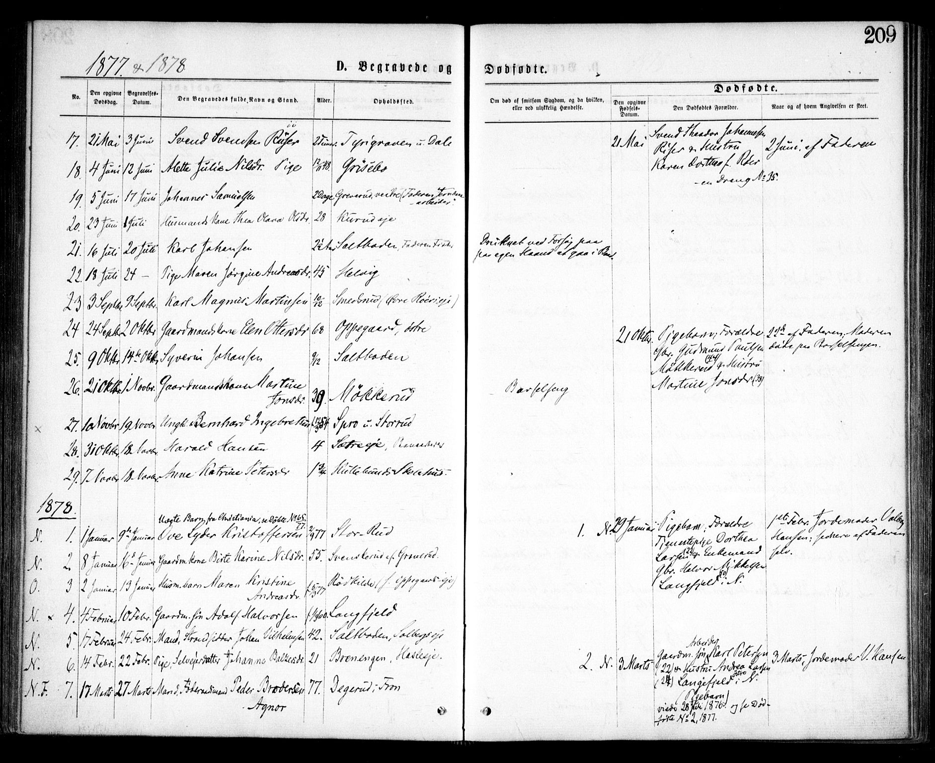 Nesodden prestekontor Kirkebøker, SAO/A-10013/F/Fa/L0008: Parish register (official) no. I 8, 1869-1879, p. 209
