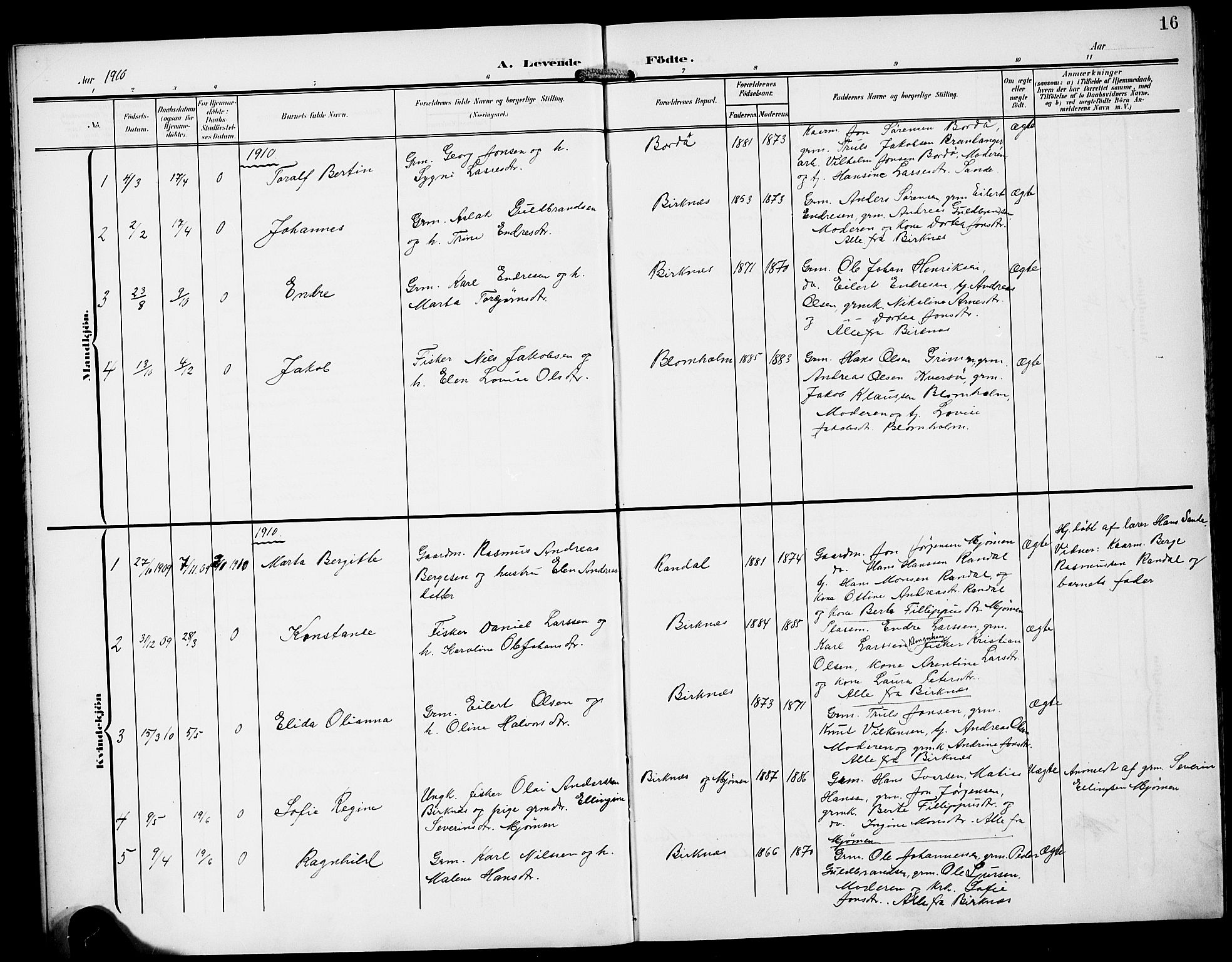 Gulen sokneprestembete, AV/SAB-A-80201/H/Hab/Habd/L0001: Parish register (copy) no. D 1, 1901-1924, p. 16