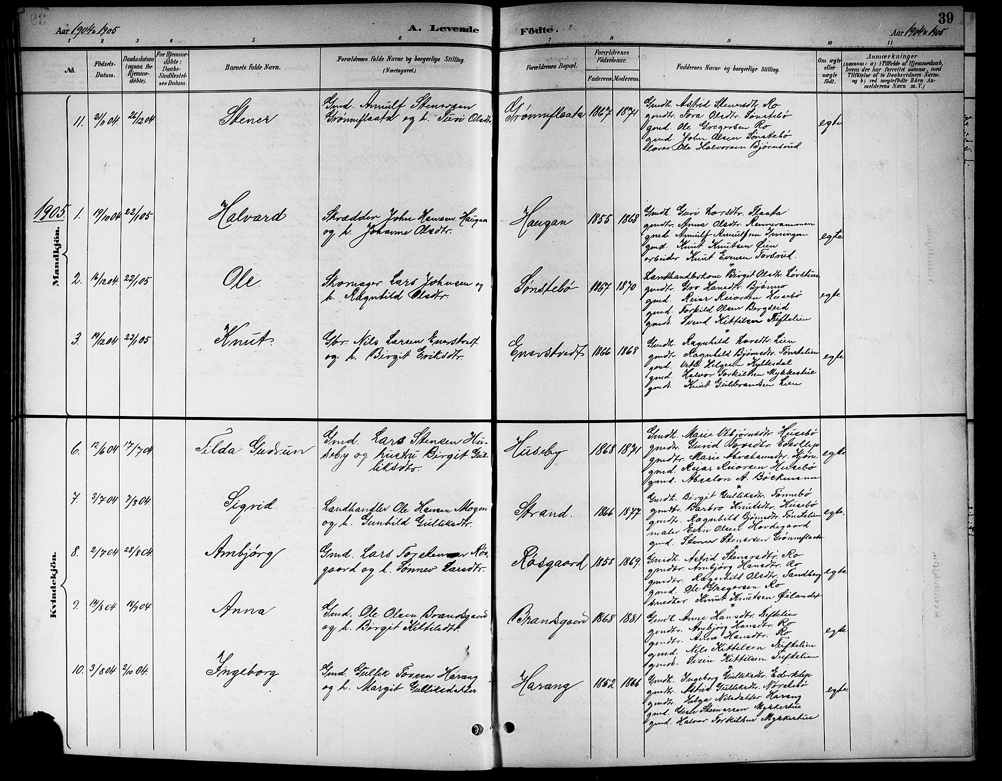 Nore kirkebøker, SAKO/A-238/G/Gb/L0003: Parish register (copy) no. II 3, 1894-1923, p. 39