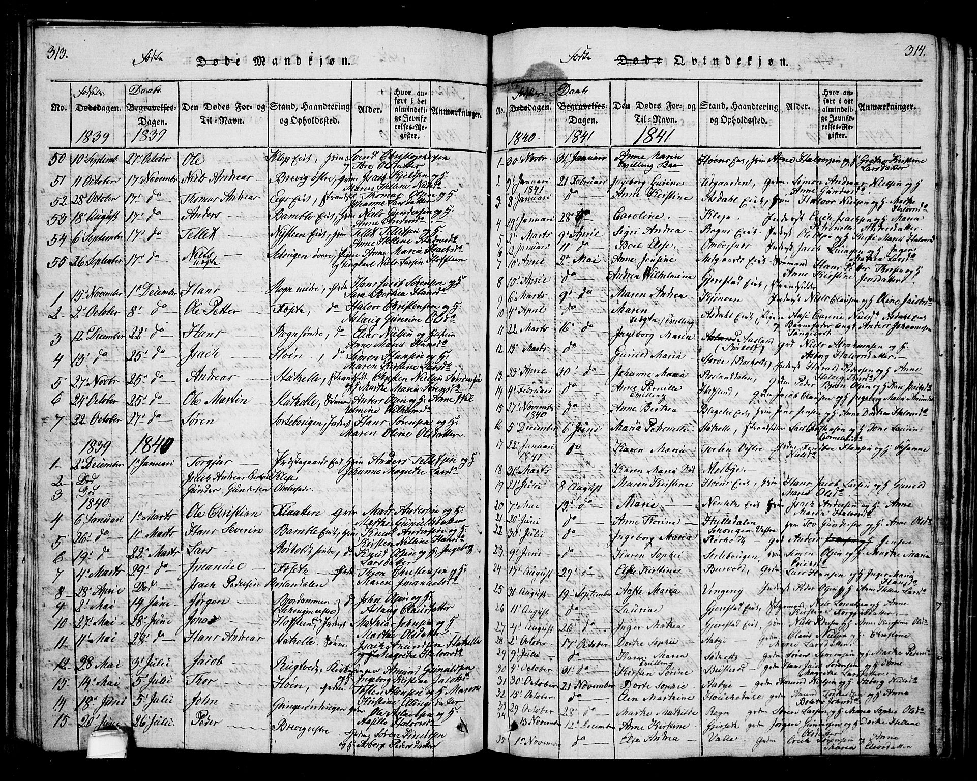 Bamble kirkebøker, SAKO/A-253/G/Ga/L0005: Parish register (copy) no. I 5, 1814-1855, p. 313-314