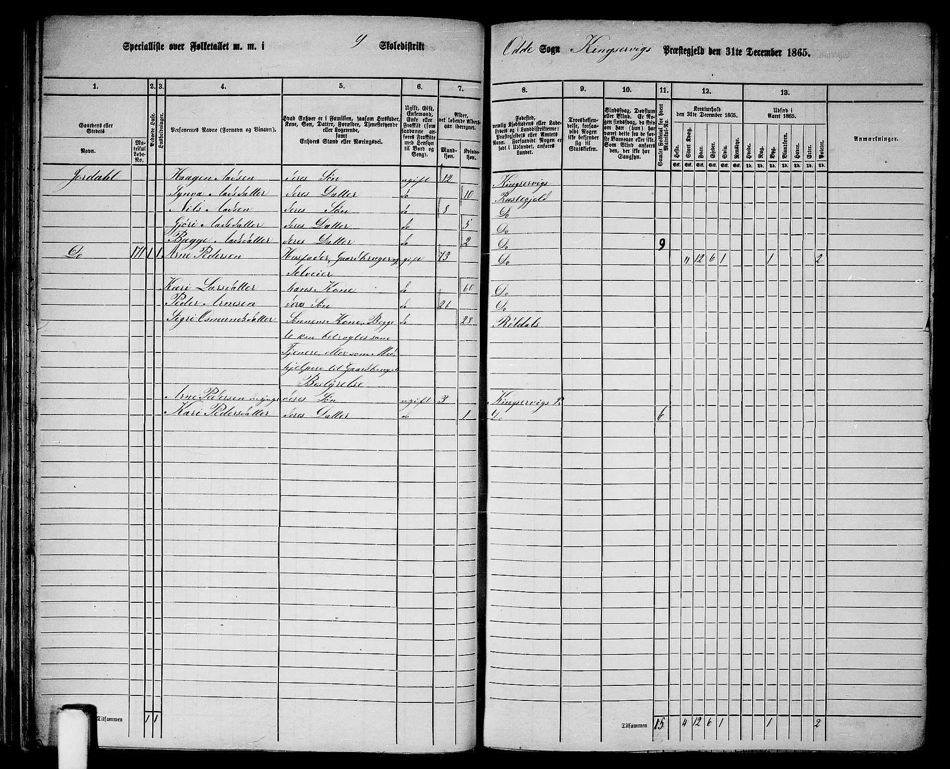 RA, 1865 census for Kinsarvik, 1865, p. 46