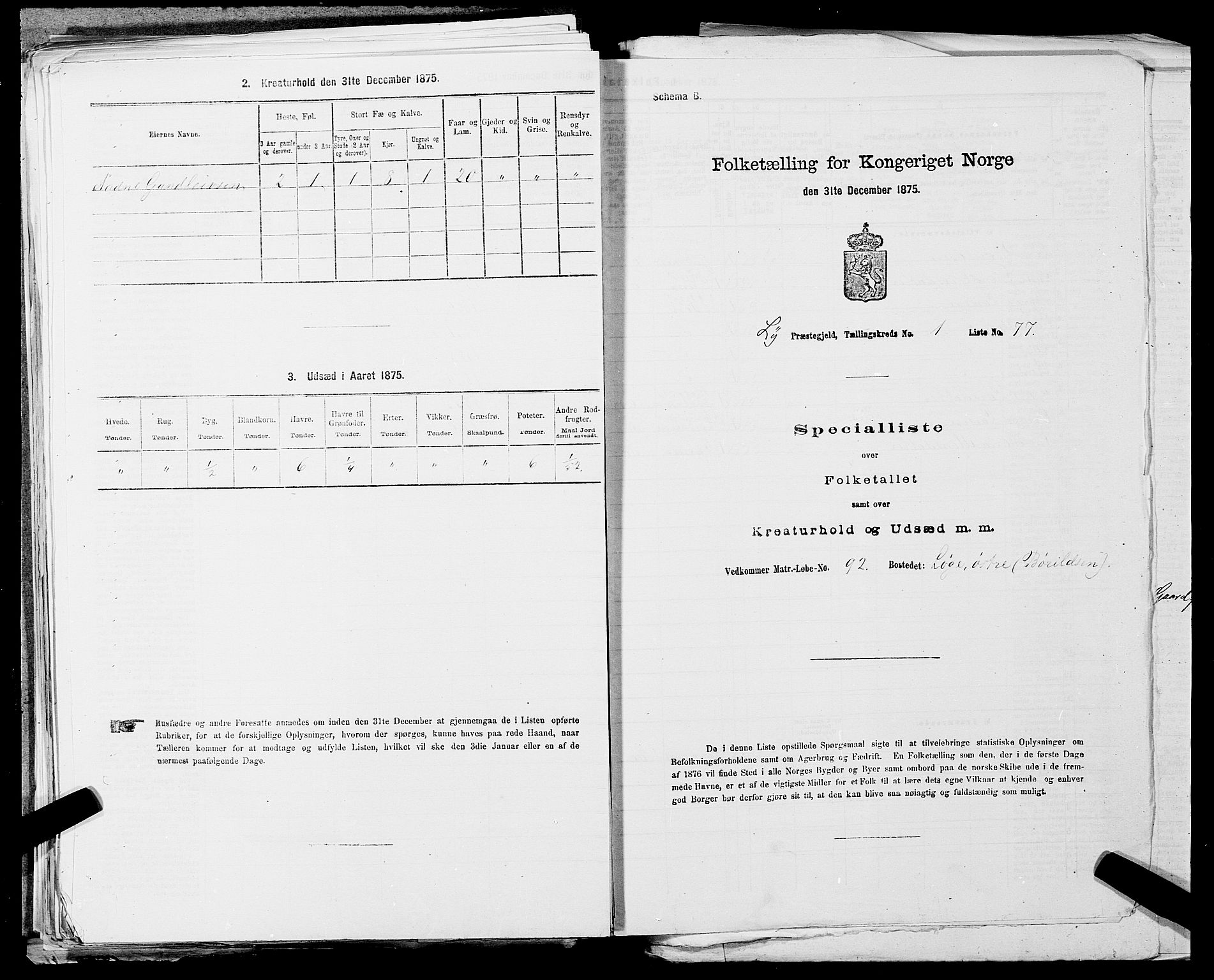 SAST, 1875 census for 1121P Lye, 1875, p. 220