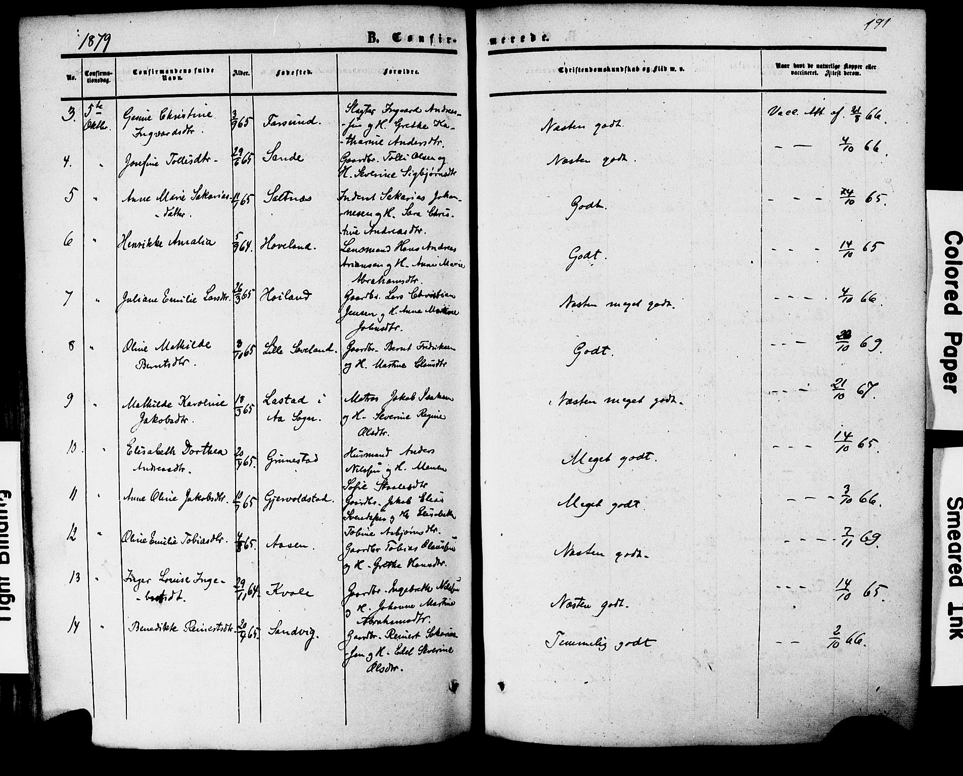 Herad sokneprestkontor, SAK/1111-0018/F/Fa/Faa/L0005: Parish register (official) no. A 5, 1853-1886, p. 191