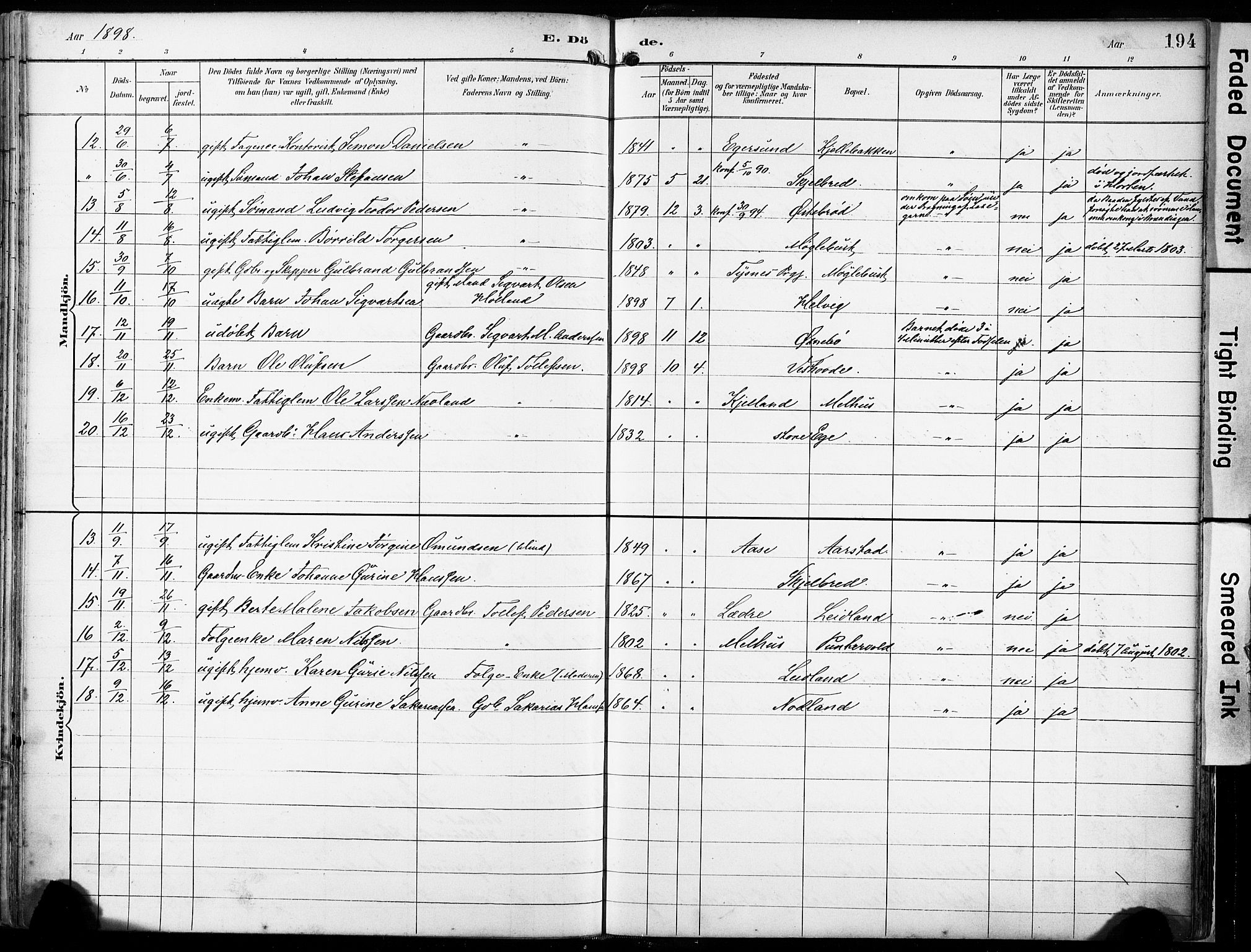 Eigersund sokneprestkontor, SAST/A-101807/S08/L0018: Parish register (official) no. A 17, 1892-1905, p. 194