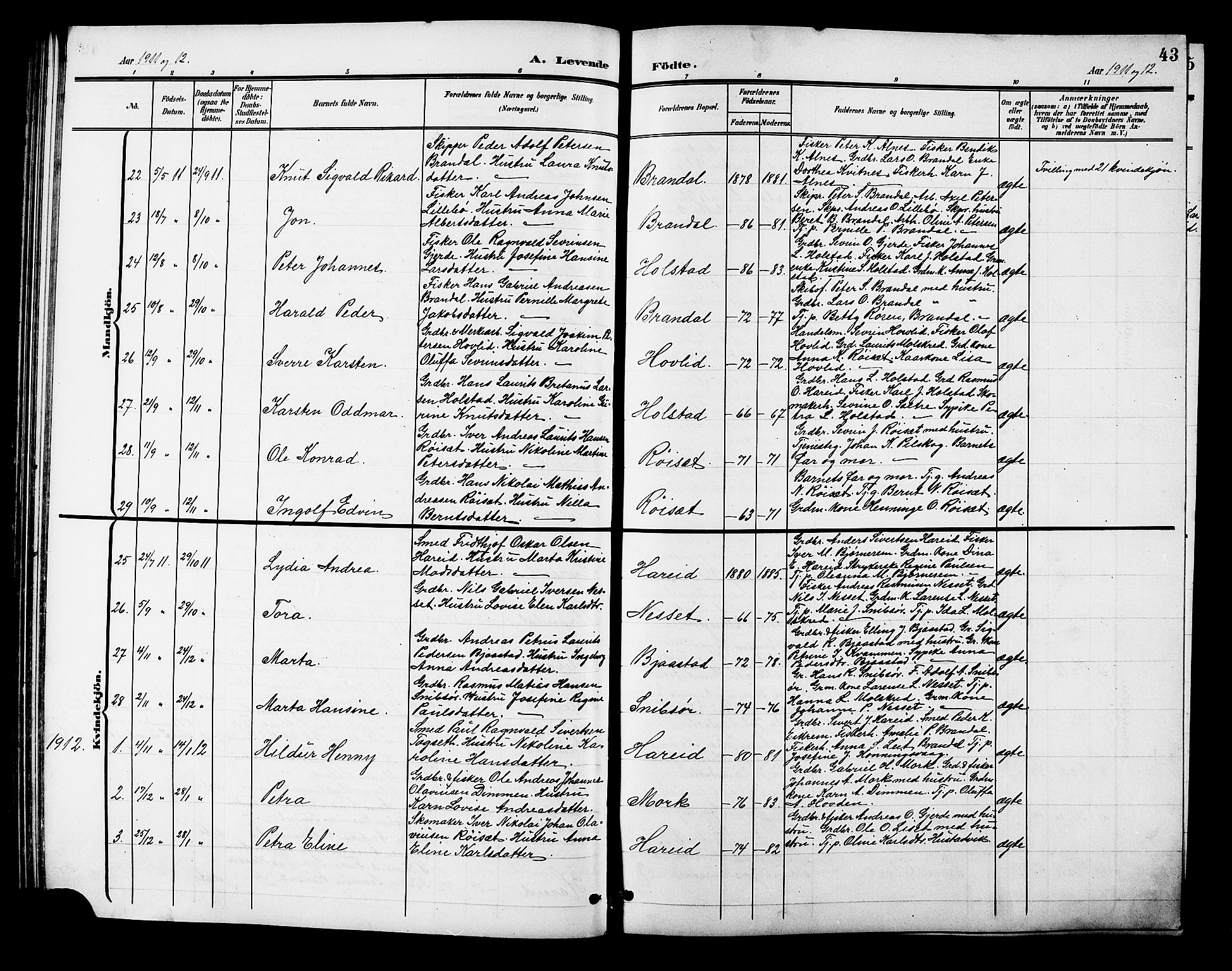 Ministerialprotokoller, klokkerbøker og fødselsregistre - Møre og Romsdal, SAT/A-1454/510/L0126: Parish register (copy) no. 510C03, 1900-1922, p. 43