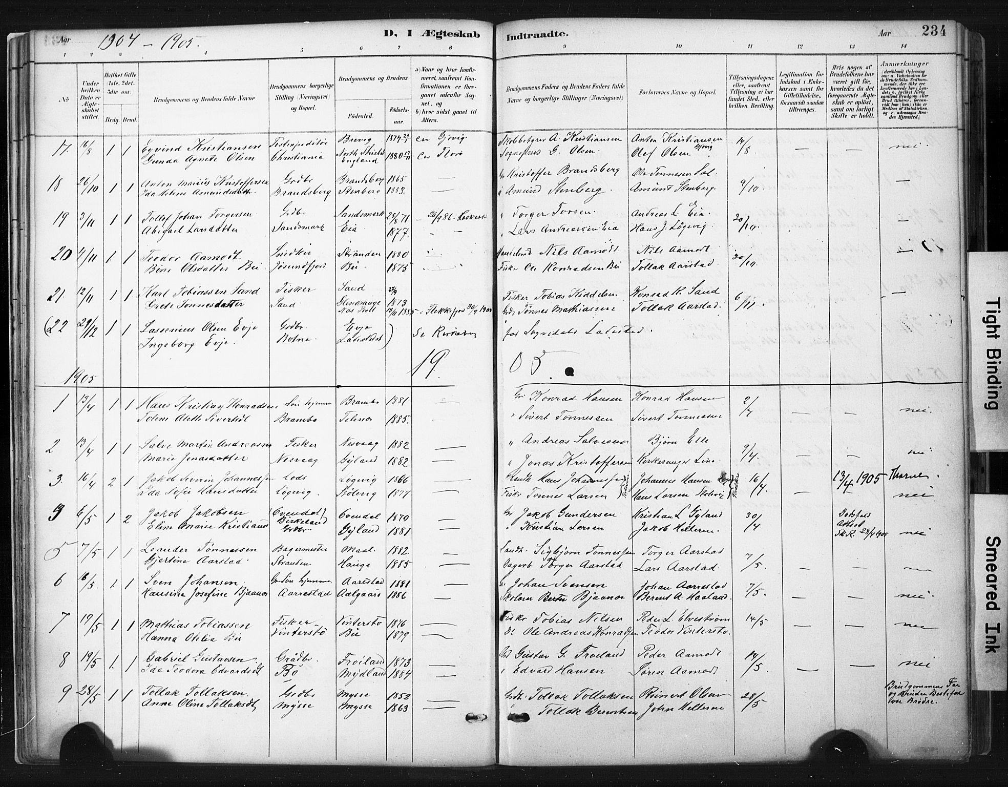 Sokndal sokneprestkontor, AV/SAST-A-101808: Parish register (official) no. A 11.2, 1887-1905, p. 234