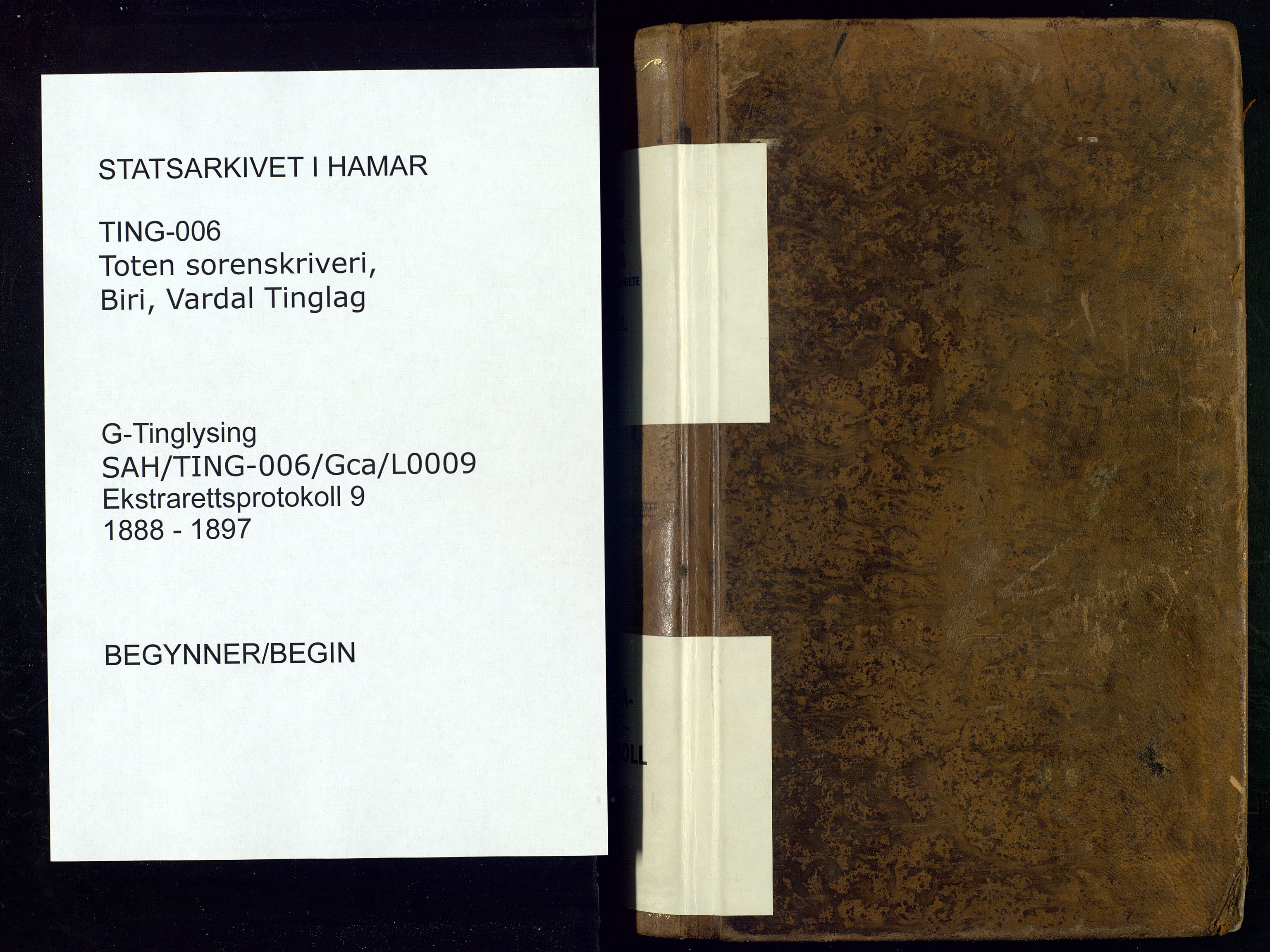 Toten tingrett, SAH/TING-006/G/Gc/Gca/L0009: Ekstrarettsprotokoll - Biri og Vardal, 1888-1897