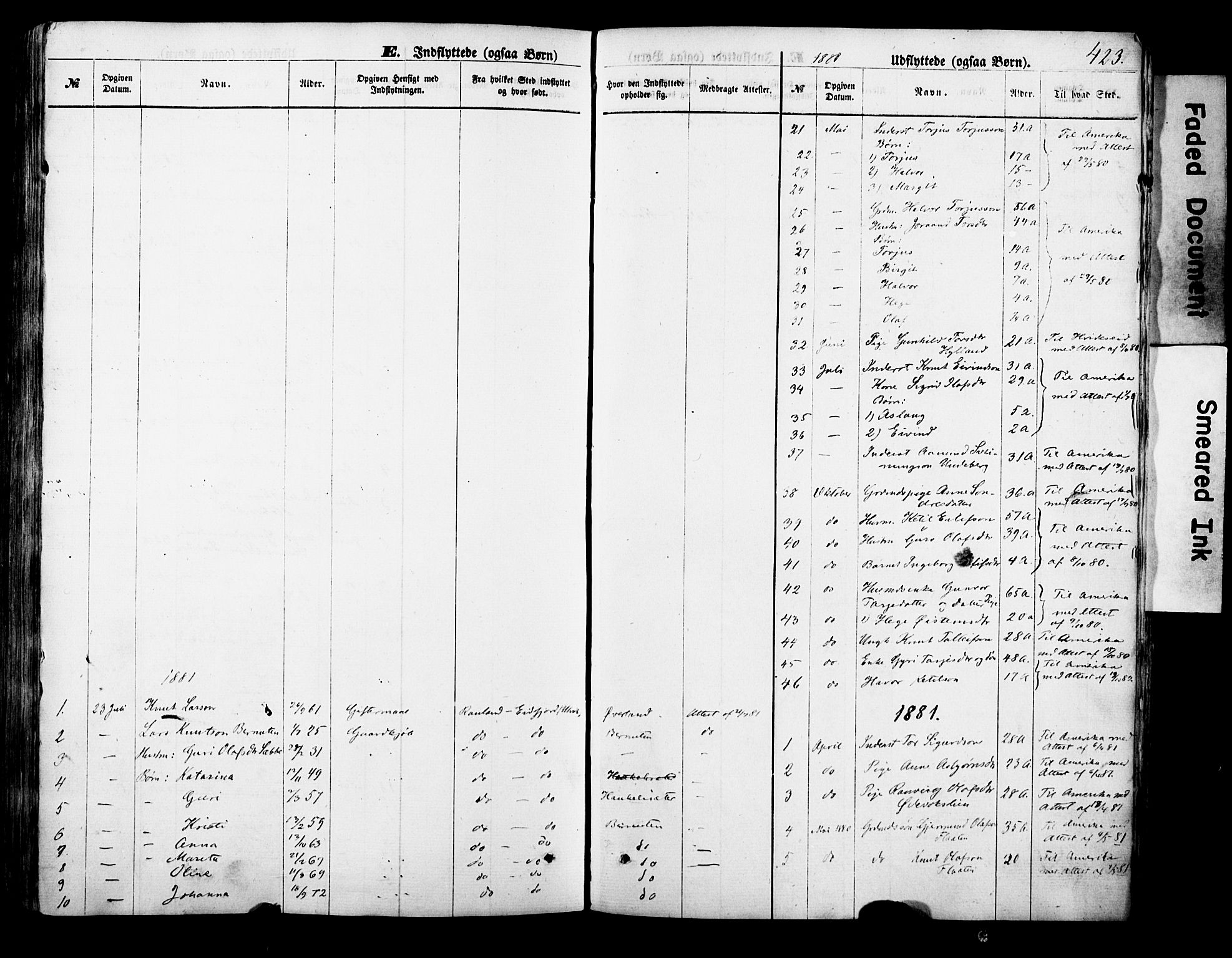 Vinje kirkebøker, SAKO/A-312/F/Fa/L0005: Parish register (official) no. I 5, 1870-1886, p. 423