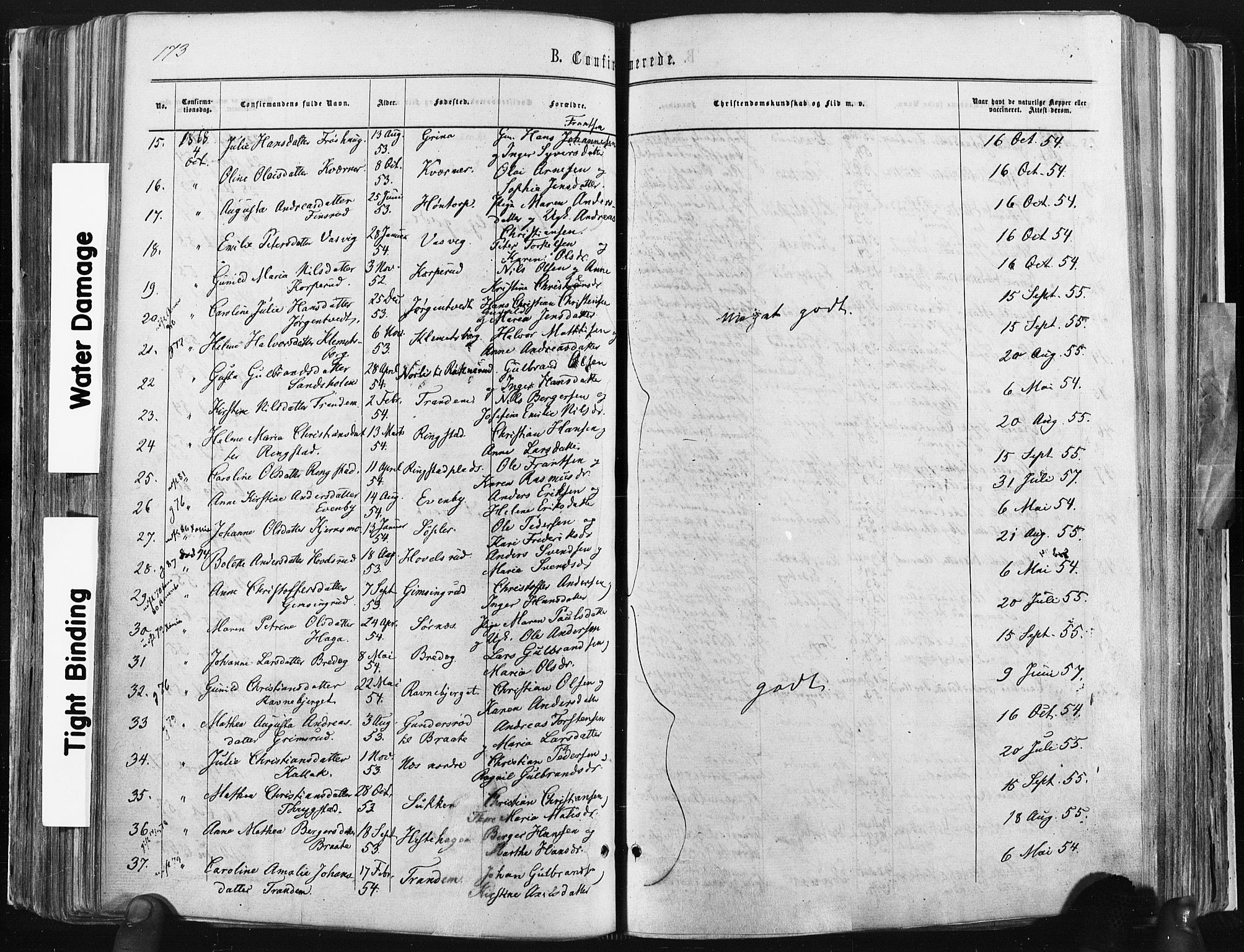 Trøgstad prestekontor Kirkebøker, SAO/A-10925/F/Fa/L0009: Parish register (official) no. I 9, 1865-1877, p. 173