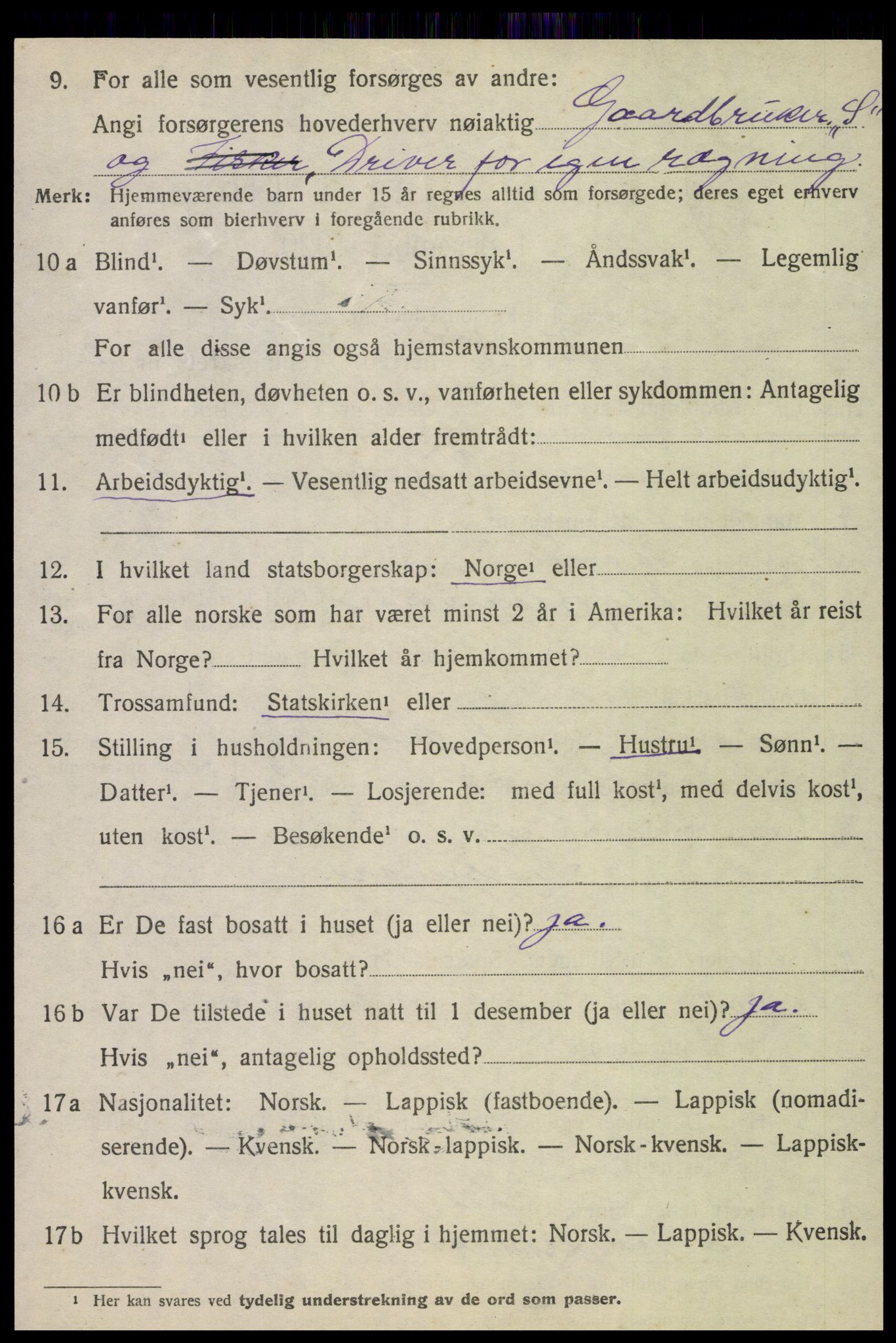 SAT, 1920 census for Vik, 1920, p. 1142