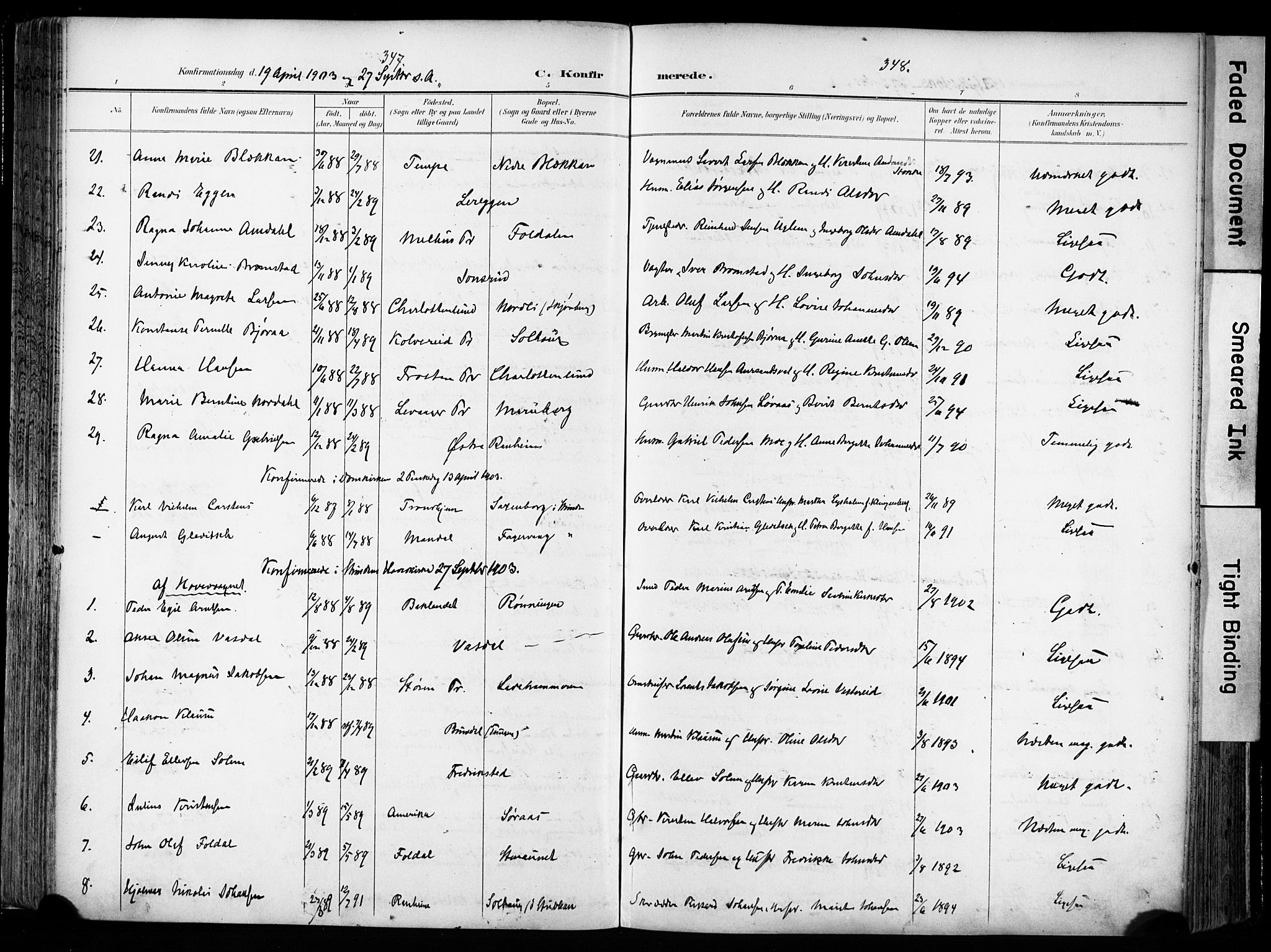 Ministerialprotokoller, klokkerbøker og fødselsregistre - Sør-Trøndelag, AV/SAT-A-1456/606/L0301: Parish register (official) no. 606A16, 1894-1907, p. 347-348