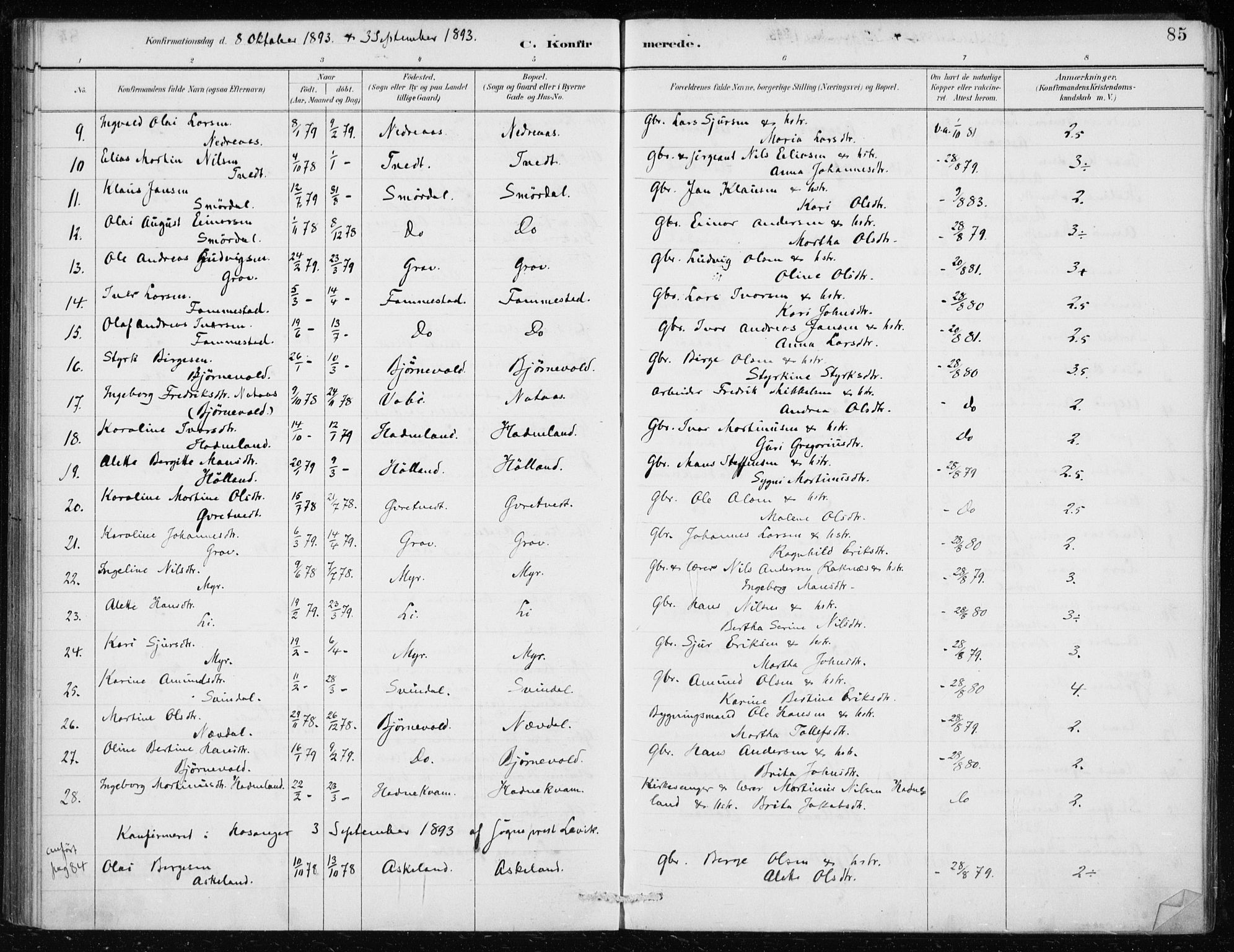 Lindås Sokneprestembete, AV/SAB-A-76701/H/Haa/Haaf/L0001: Parish register (official) no. F  1, 1886-1897, p. 85