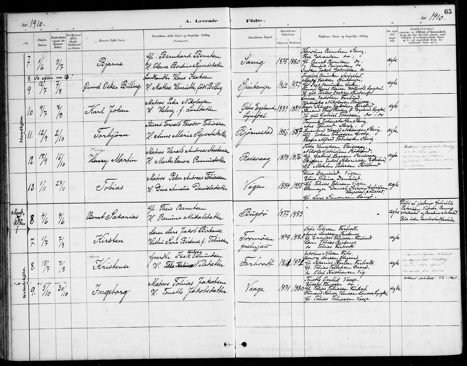 Herad sokneprestkontor, AV/SAK-1111-0018/F/Fa/Fab/L0005: Parish register (official) no. A 5, 1886-1913, p. 65