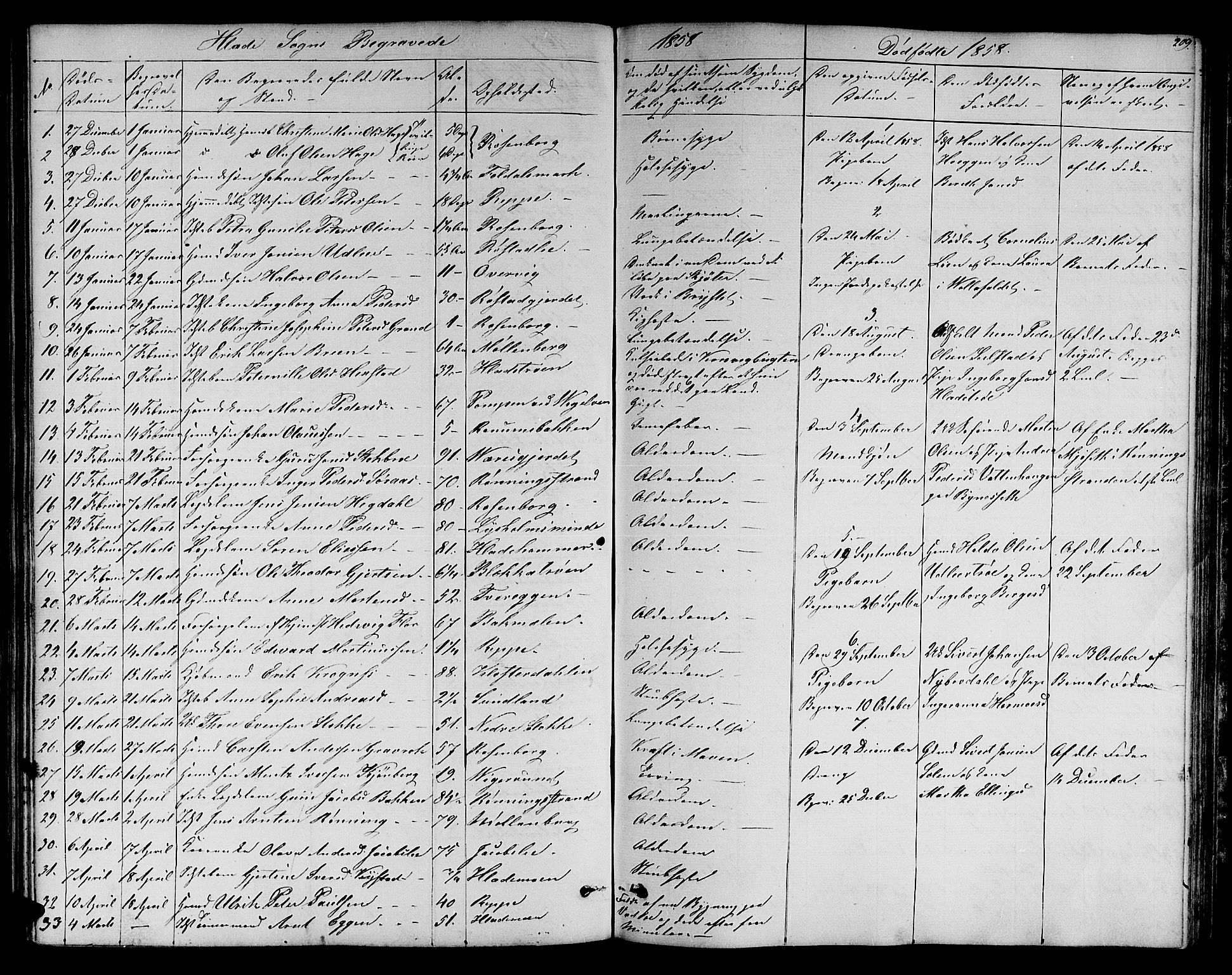 Ministerialprotokoller, klokkerbøker og fødselsregistre - Sør-Trøndelag, AV/SAT-A-1456/606/L0310: Parish register (copy) no. 606C06, 1850-1859, p. 209