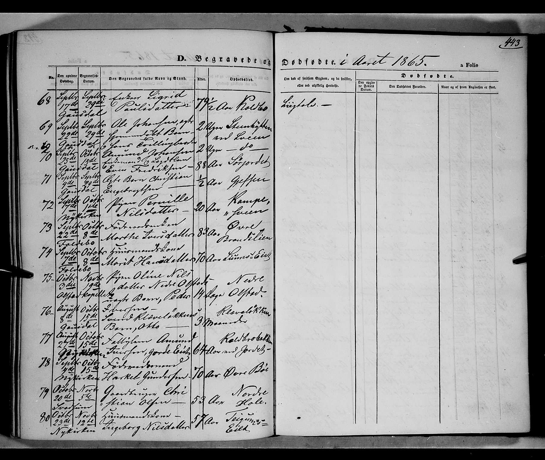 Gausdal prestekontor, SAH/PREST-090/H/Ha/Haa/L0009: Parish register (official) no. 9, 1862-1873, p. 443