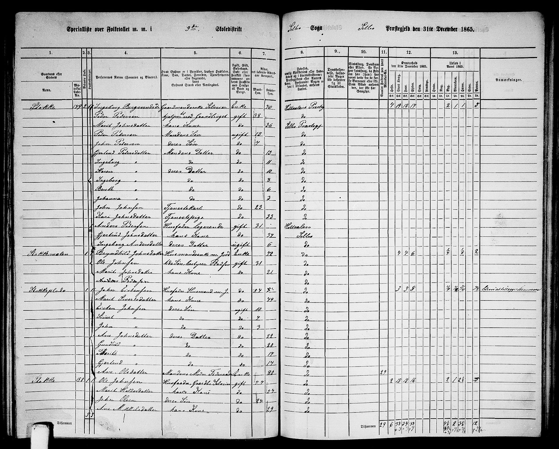 RA, 1865 census for Selbu, 1865, p. 157