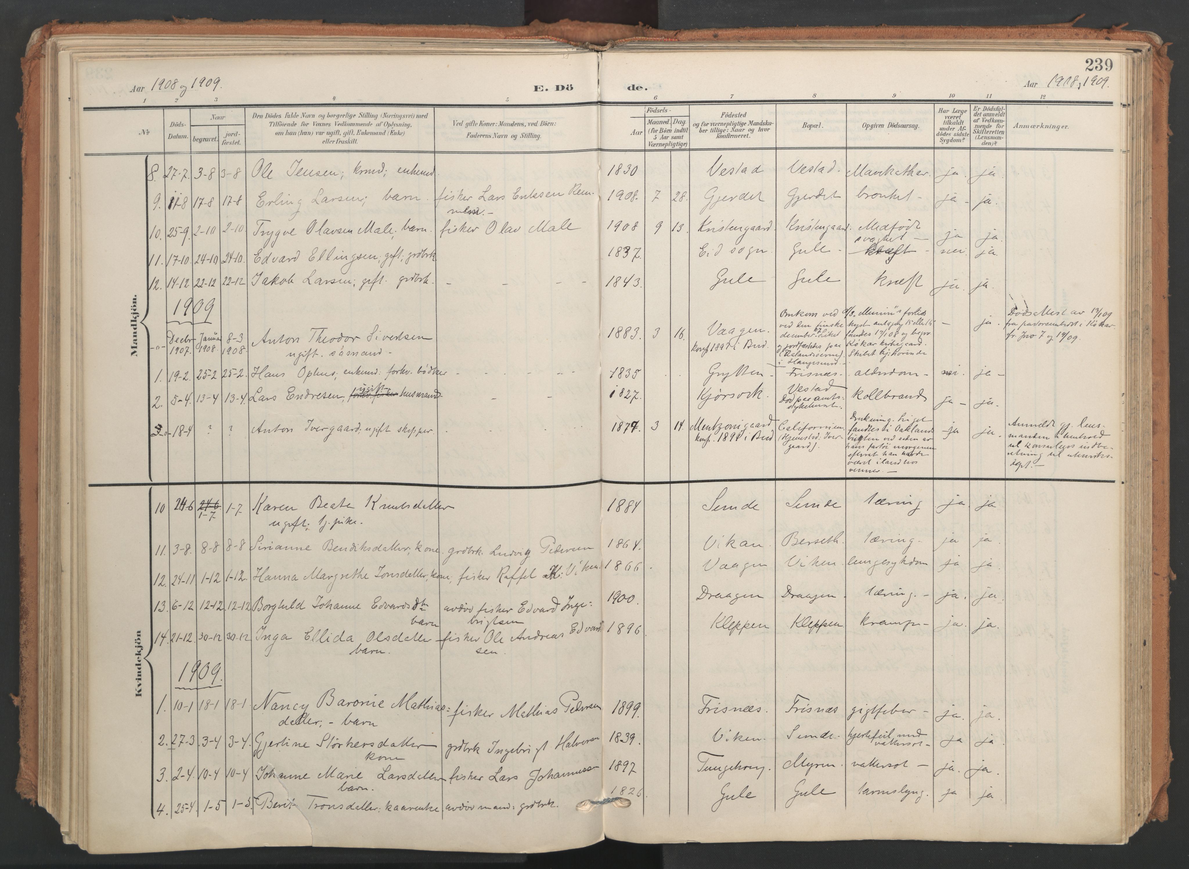 Ministerialprotokoller, klokkerbøker og fødselsregistre - Møre og Romsdal, AV/SAT-A-1454/566/L0771: Parish register (official) no. 566A10, 1904-1929, p. 239