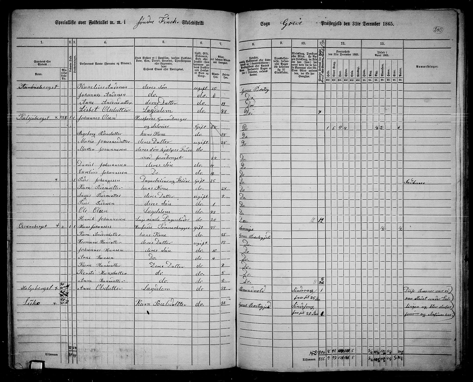 RA, 1865 census for Grue, 1865, p. 213