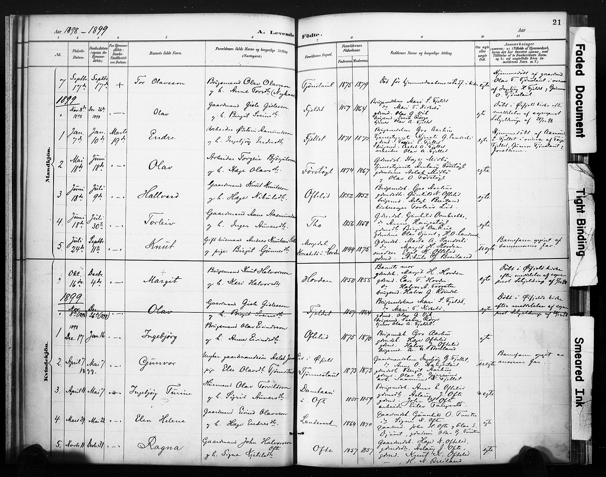 Lårdal kirkebøker, SAKO/A-284/F/Fc/L0002: Parish register (official) no. III 2, 1887-1906, p. 21