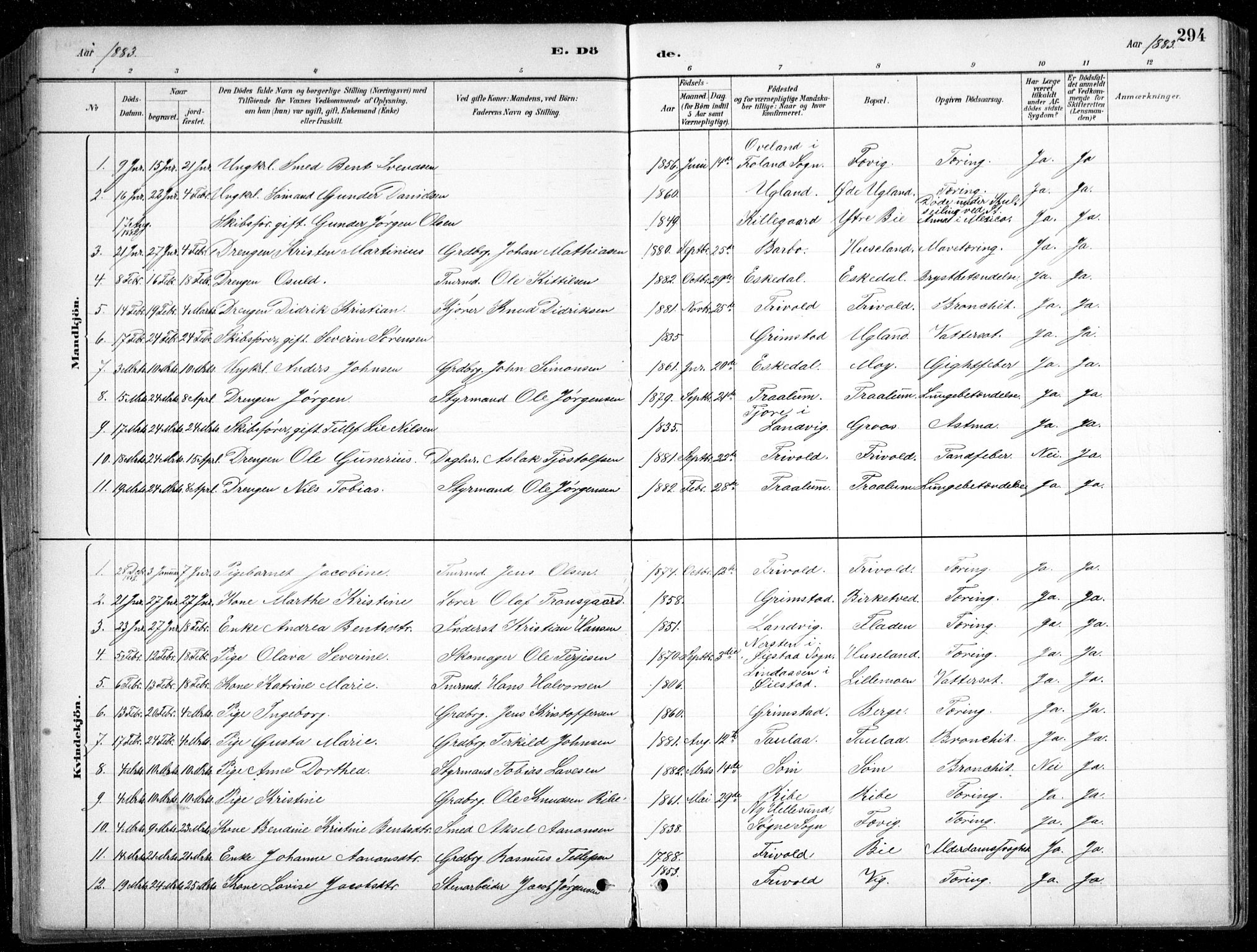 Fjære sokneprestkontor, SAK/1111-0011/F/Fb/L0011: Parish register (copy) no. B 11, 1881-1905, p. 294