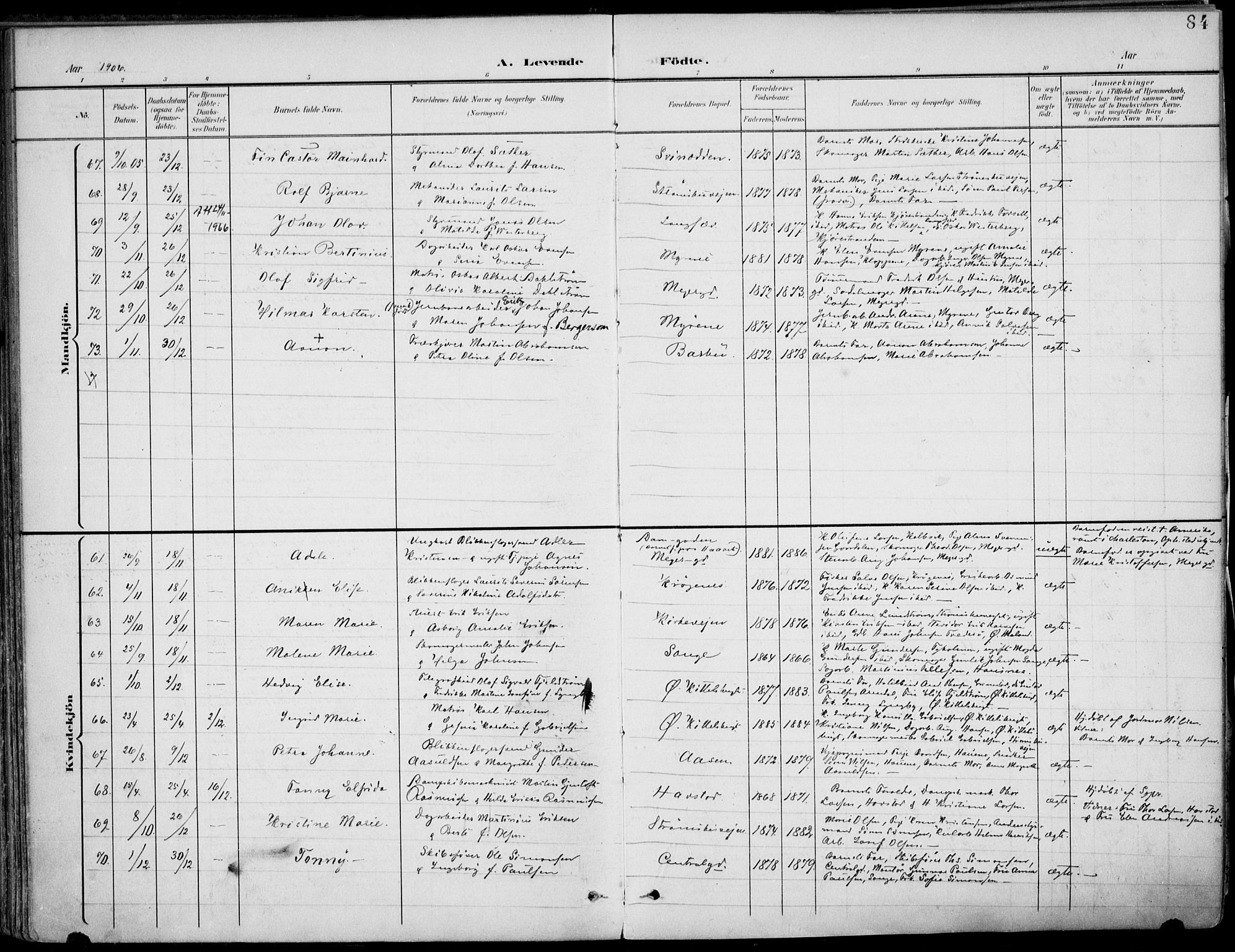 Barbu sokneprestkontor, AV/SAK-1111-0003/F/Fa/L0005: Parish register (official) no. A 5, 1899-1909, p. 84