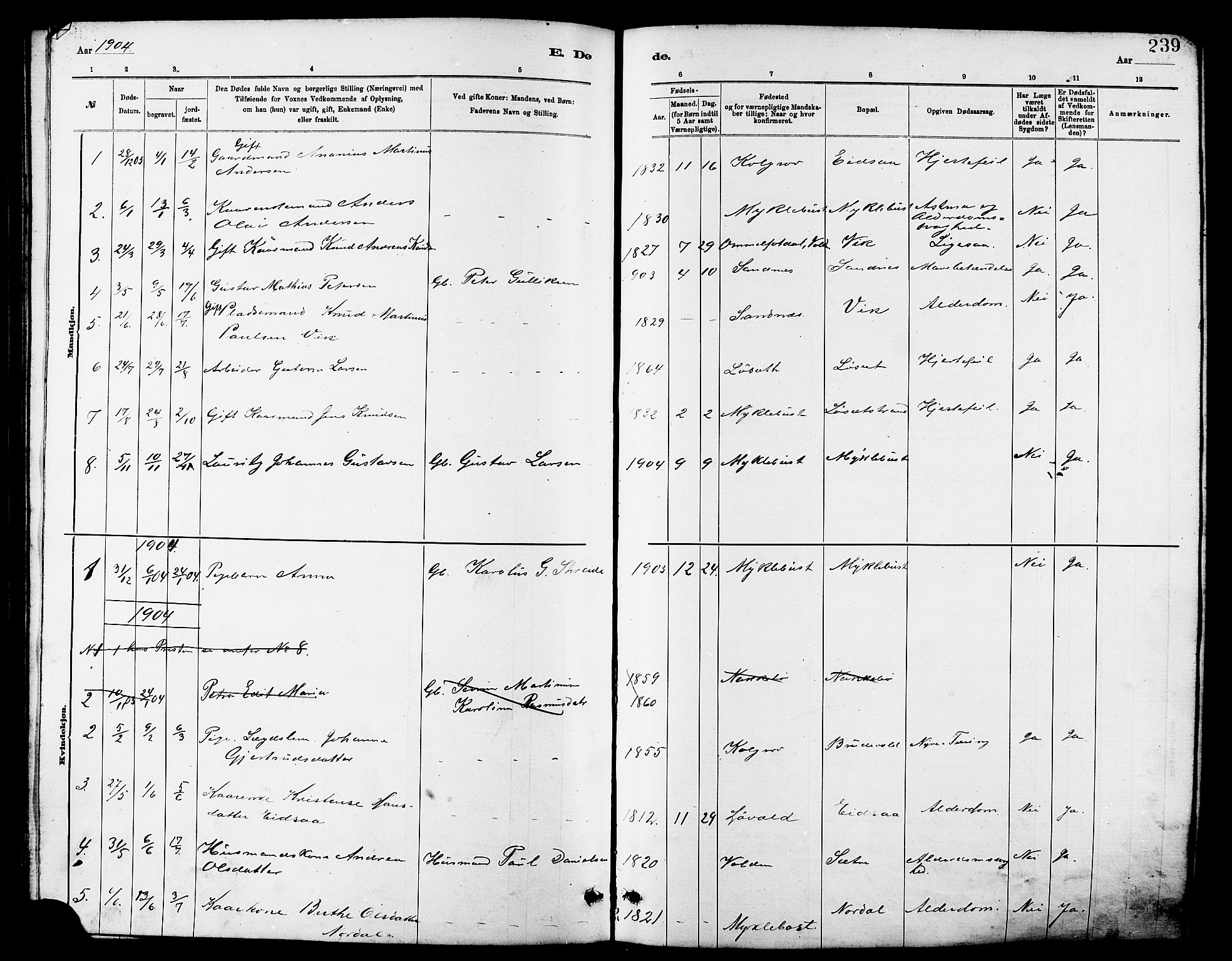 Ministerialprotokoller, klokkerbøker og fødselsregistre - Møre og Romsdal, AV/SAT-A-1454/502/L0027: Parish register (copy) no. 502C01, 1878-1908, p. 239