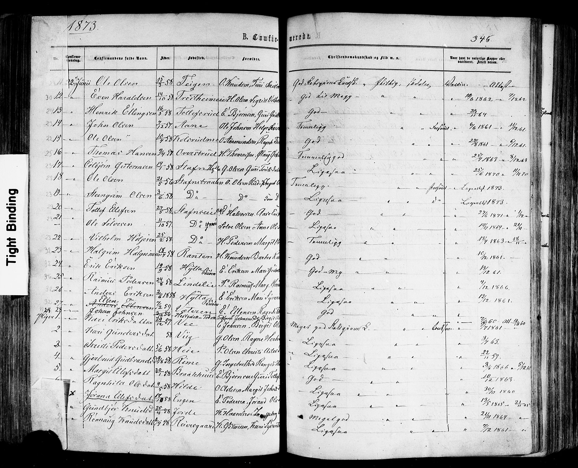 Nes kirkebøker, AV/SAKO-A-236/F/Fa/L0010: Parish register (official) no. 10, 1864-1880, p. 346