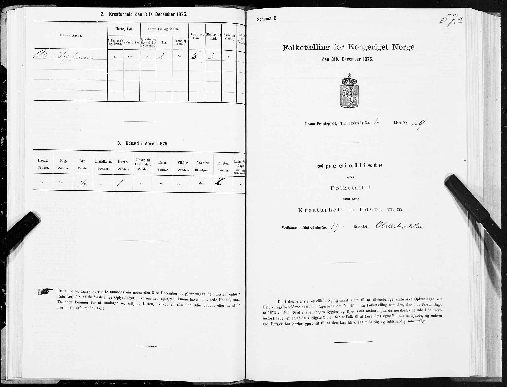 SAT, 1875 census for 1814P Brønnøy, 1875, p. 1057