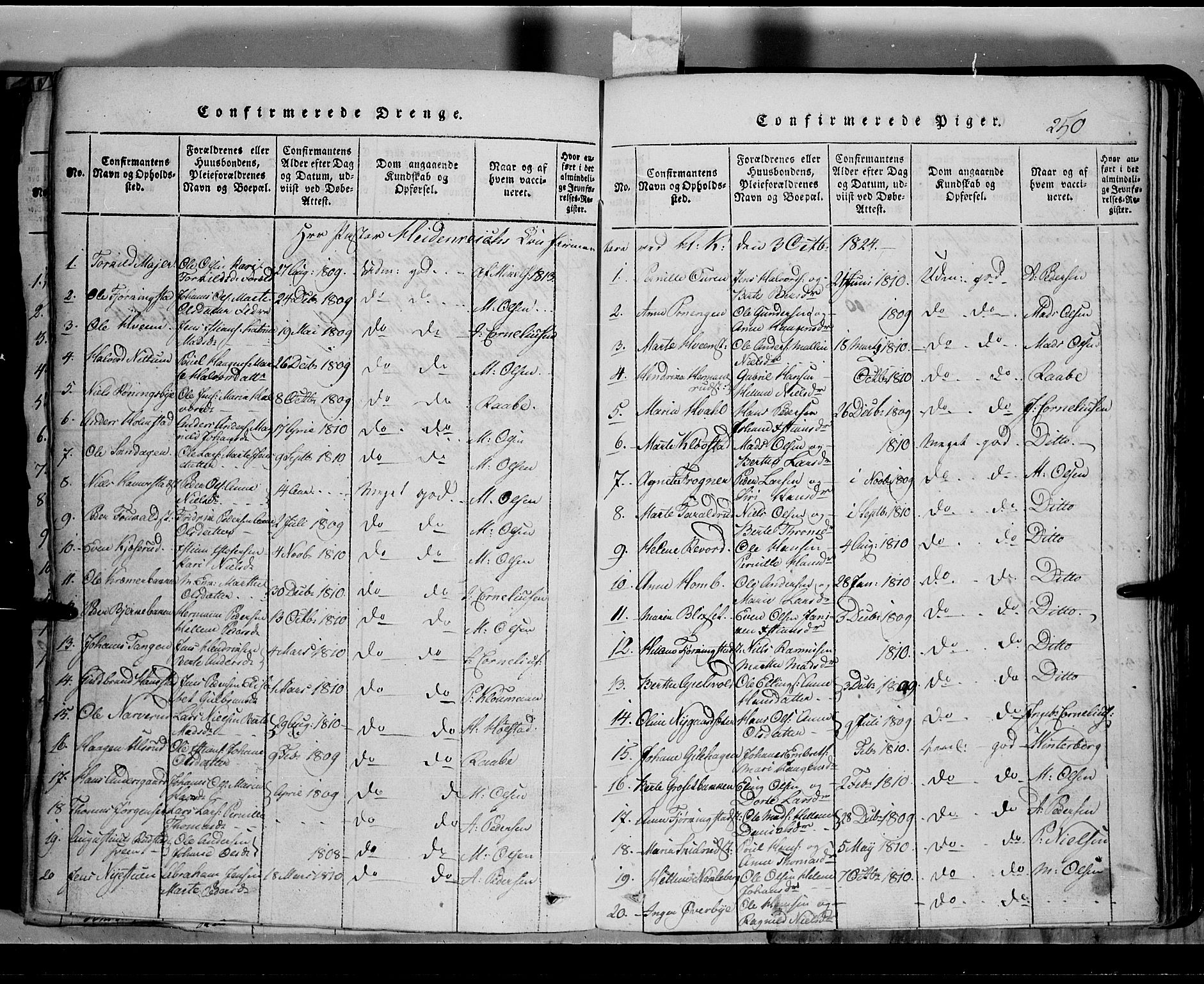 Toten prestekontor, SAH/PREST-102/H/Ha/Hab/L0002: Parish register (copy) no. 2, 1820-1827, p. 250