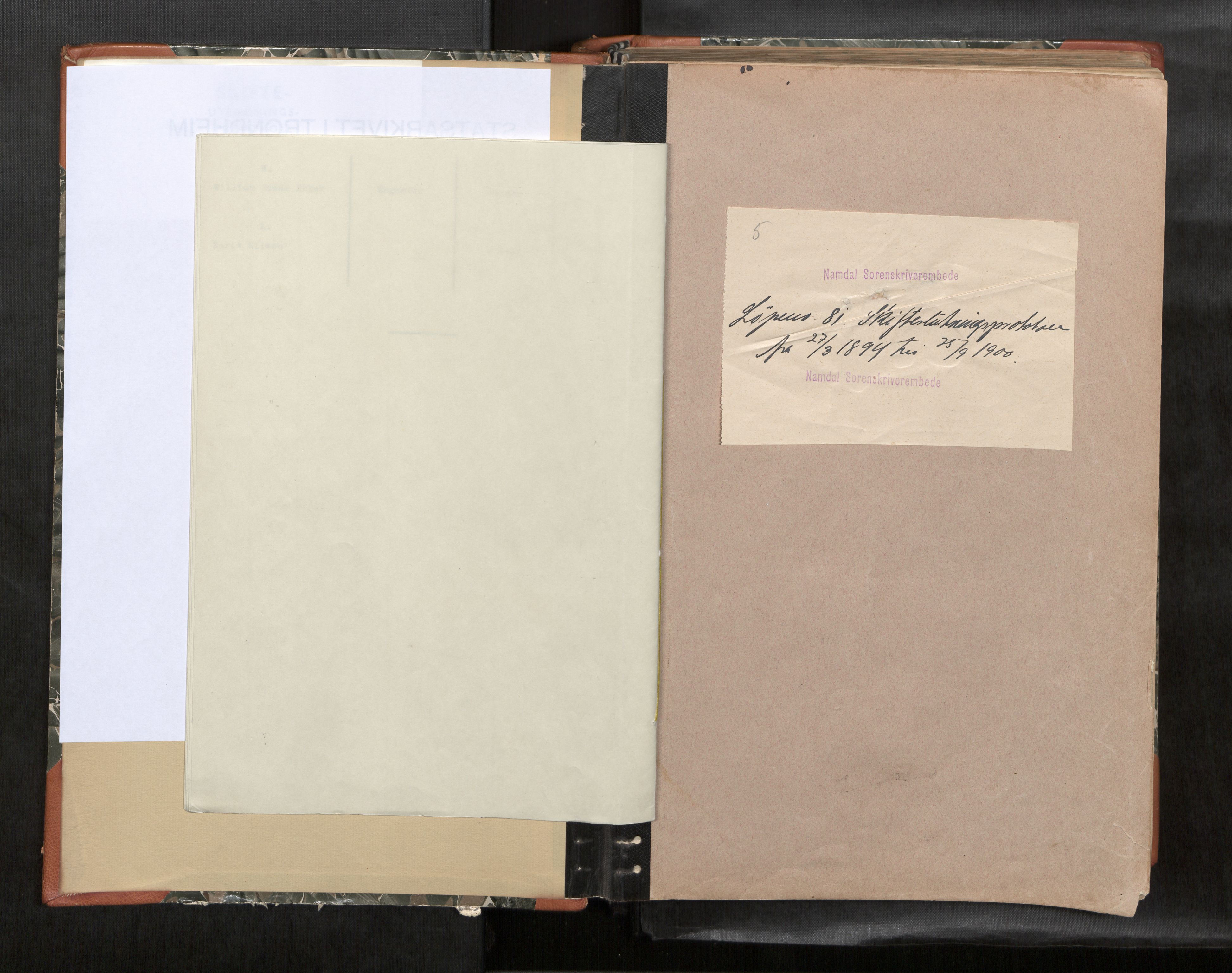 Namdal sorenskriveri, SAT/A-4133/1/3/3A/L0046: Skifteprotokoll nr. 8, 1894-1900